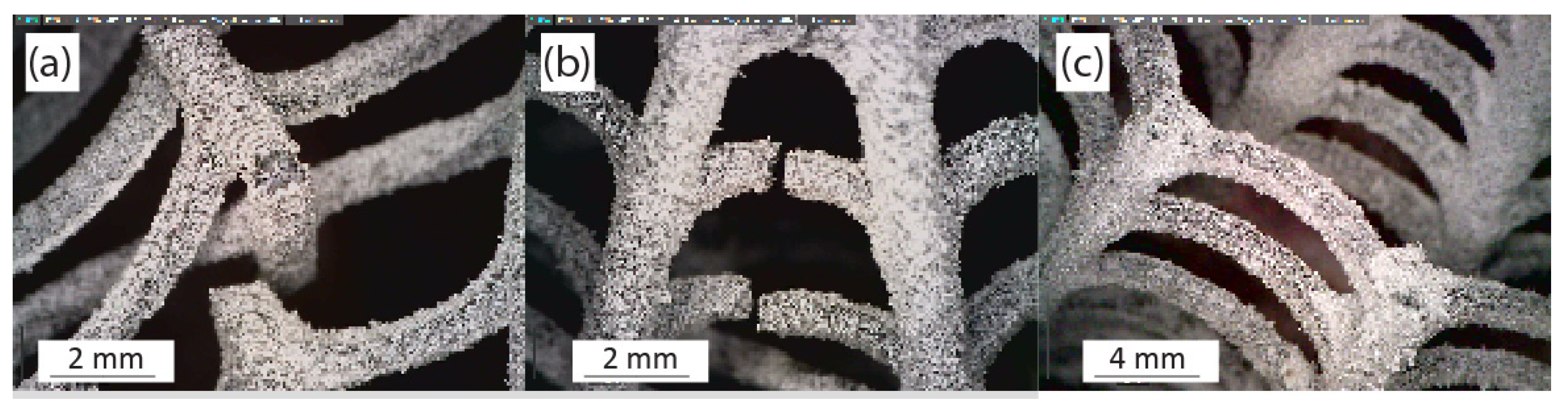 Biomimetics 10 00001 g011
