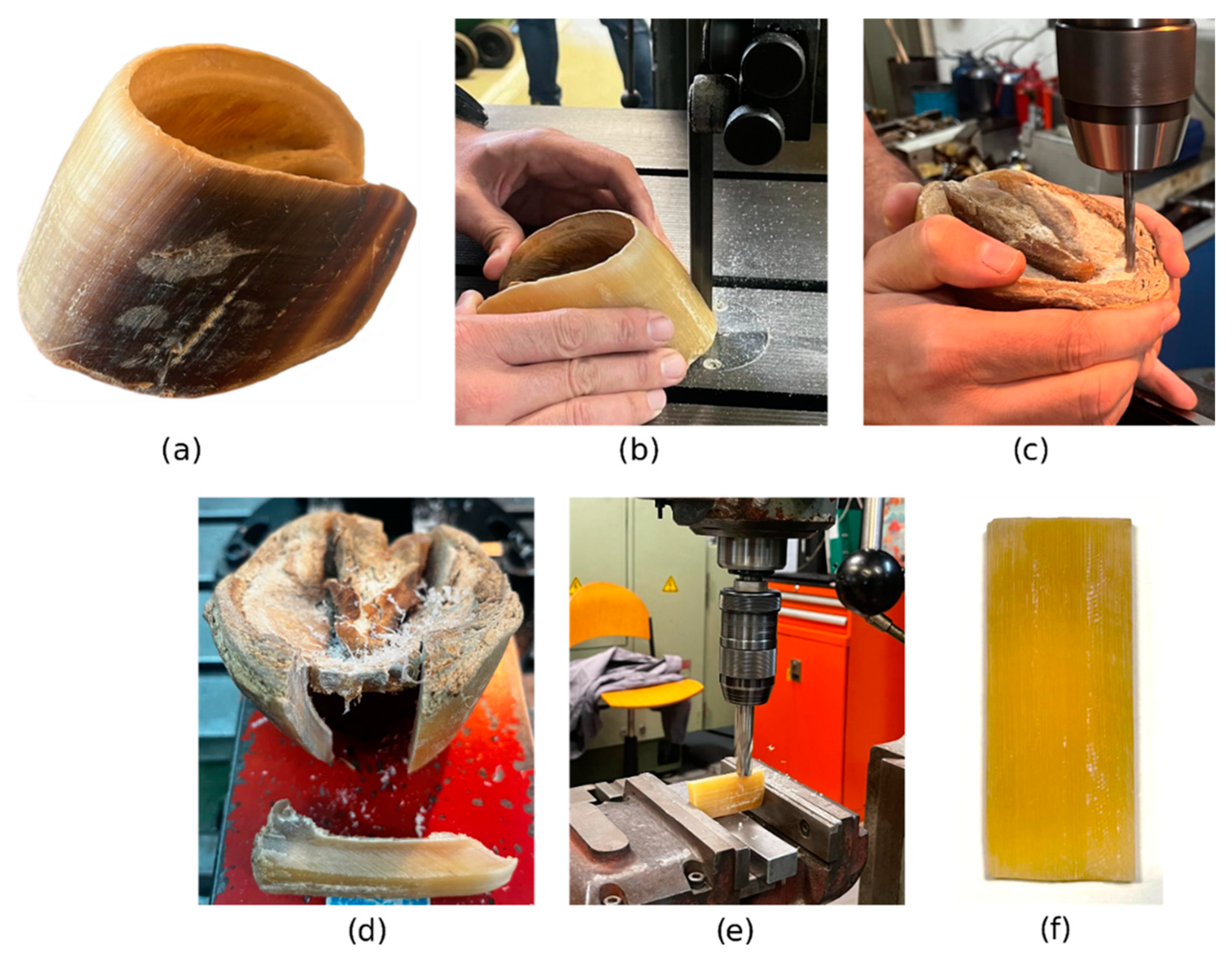 Biomimetics 10 00002 g005