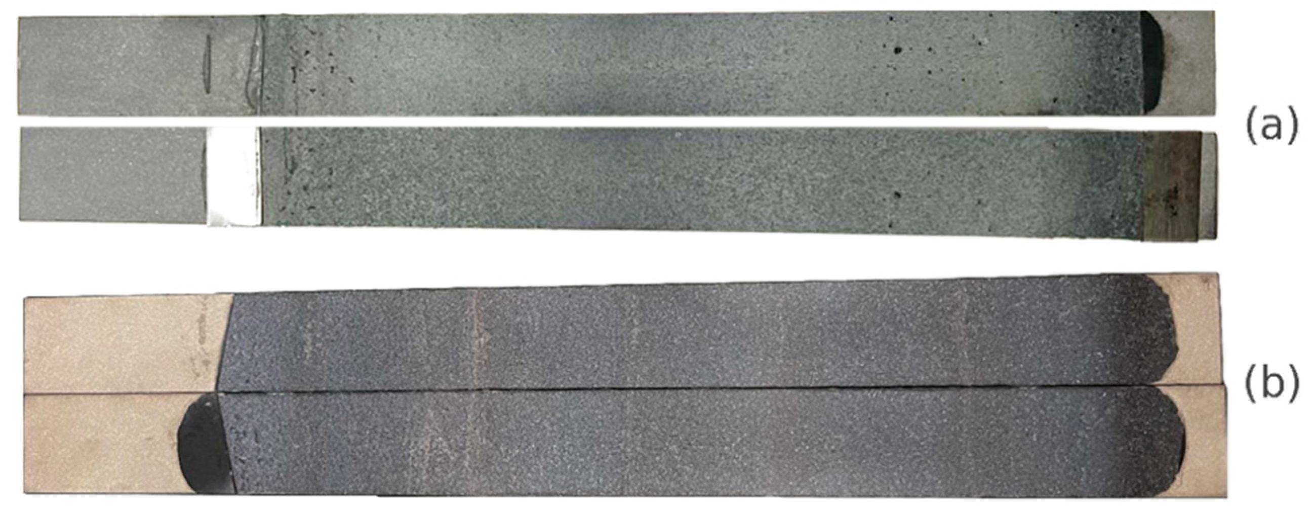 Biomimetics 10 00002 g017