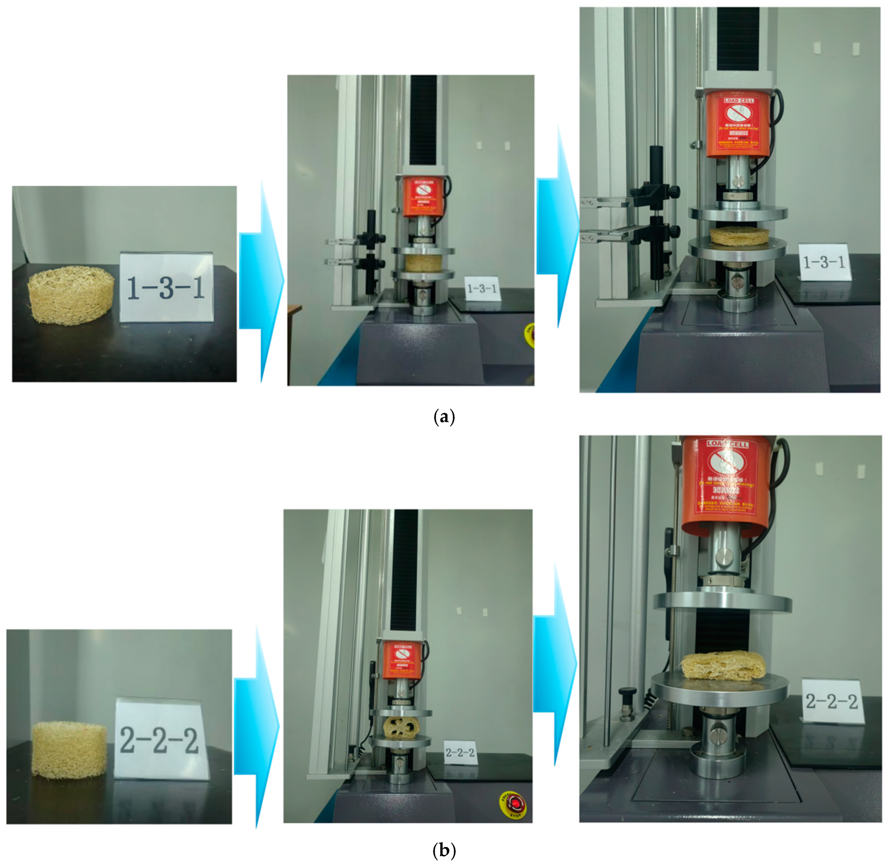 Biomimetics 10 00005 g004