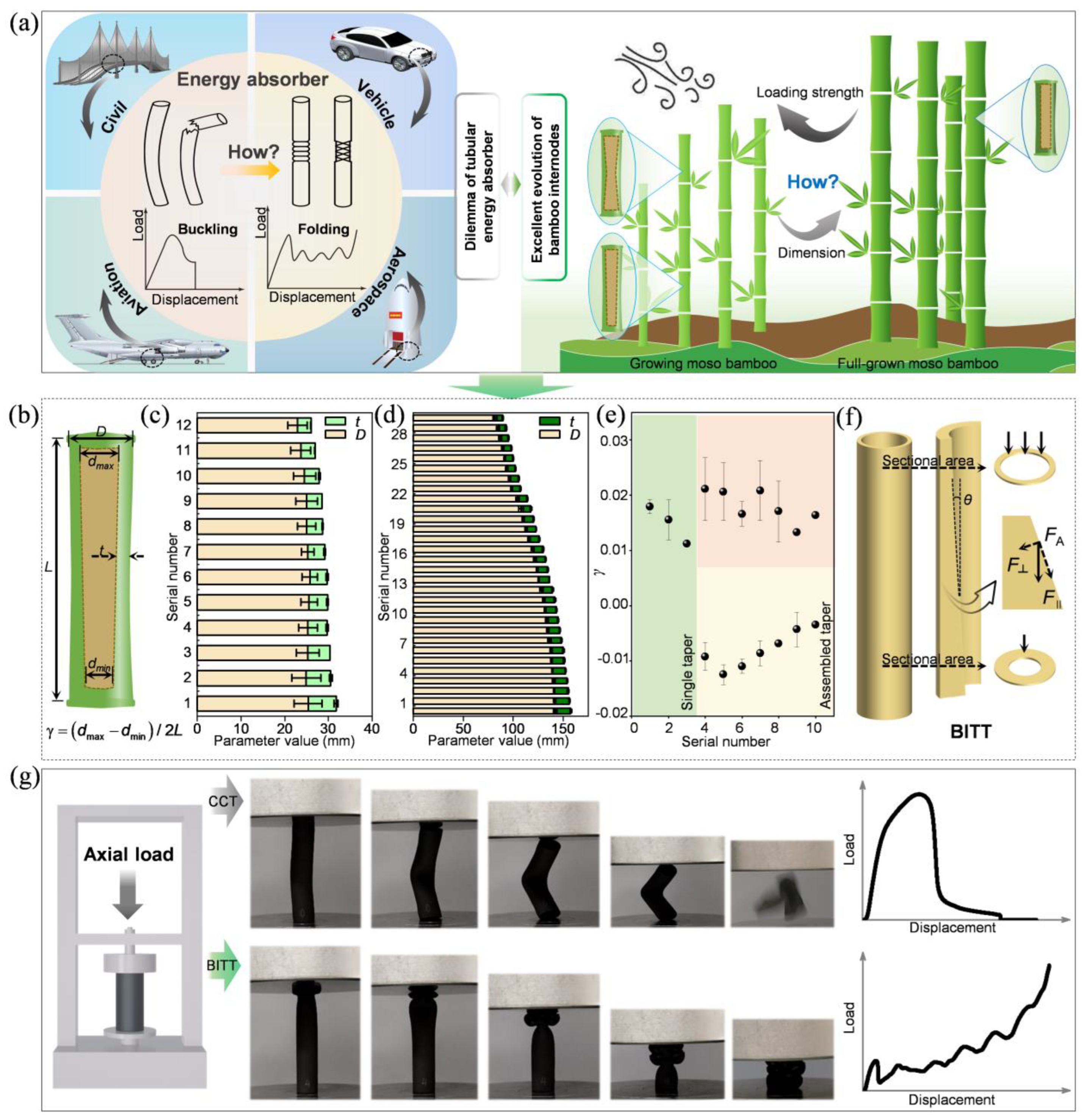 Biomimetics 10 00006 g001