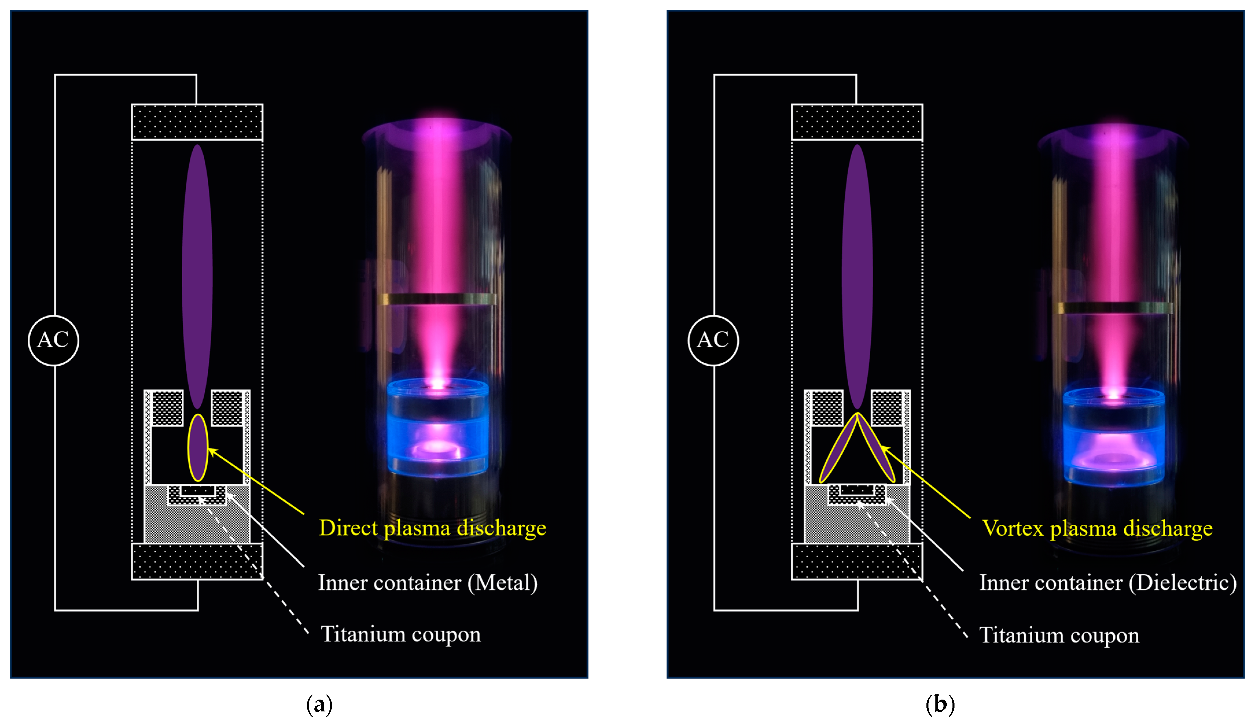 Biomimetics 10 00007 g004