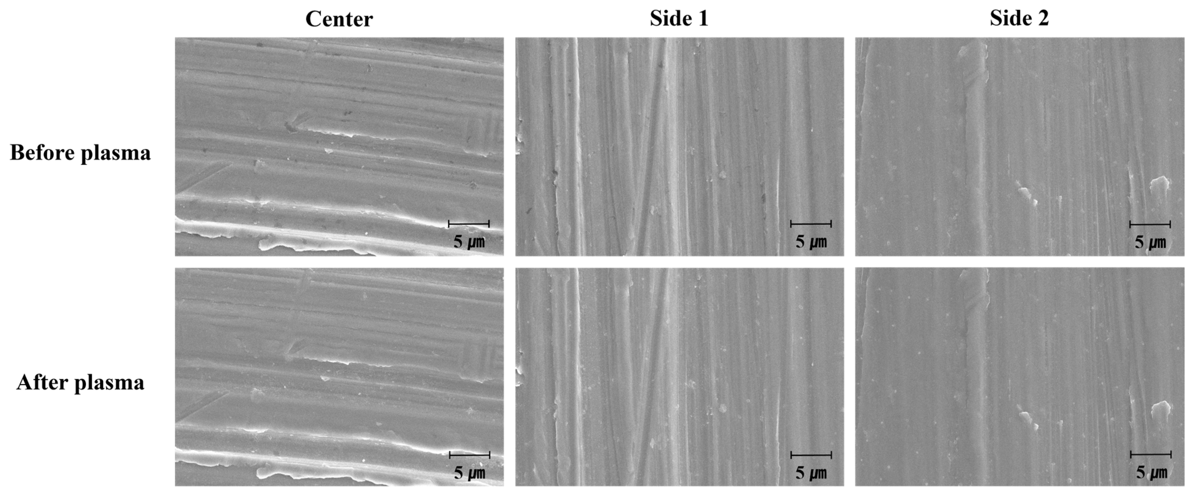 Biomimetics 10 00007 g009