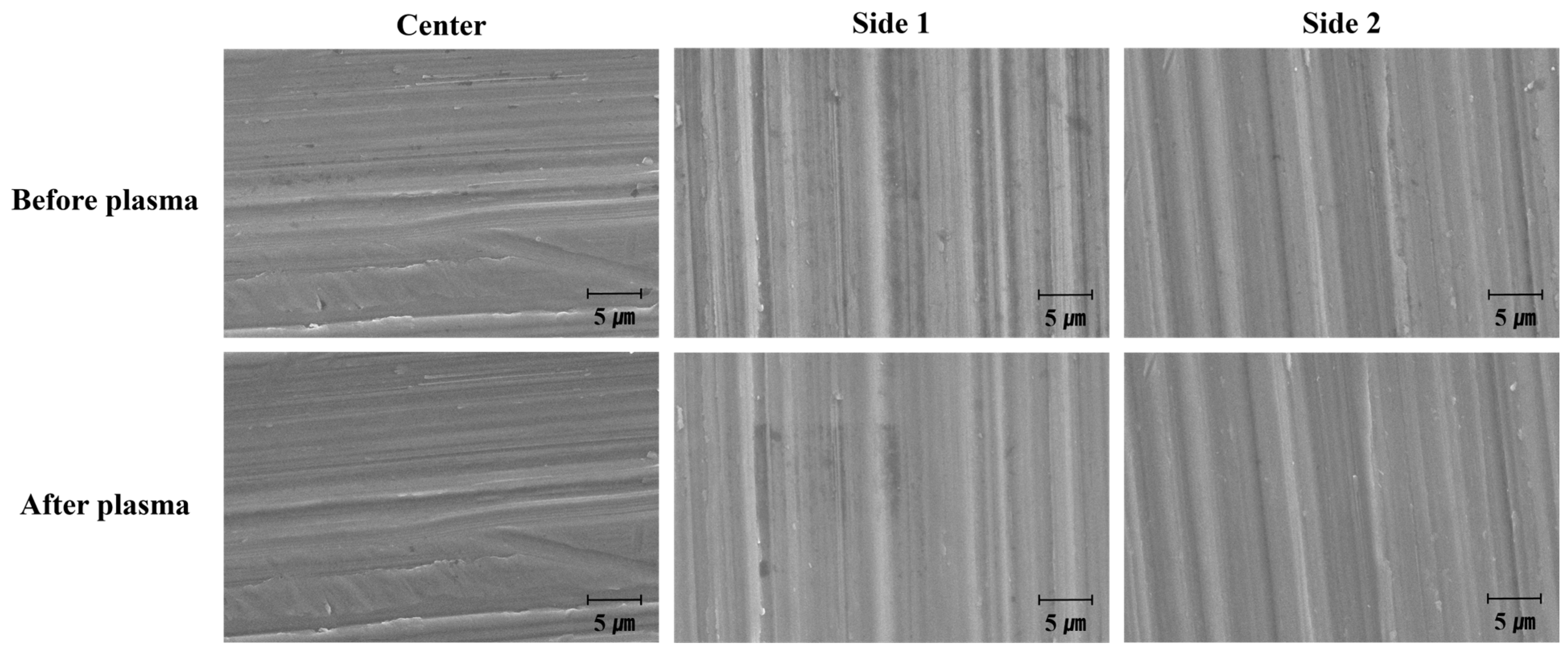 Biomimetics 10 00007 g010