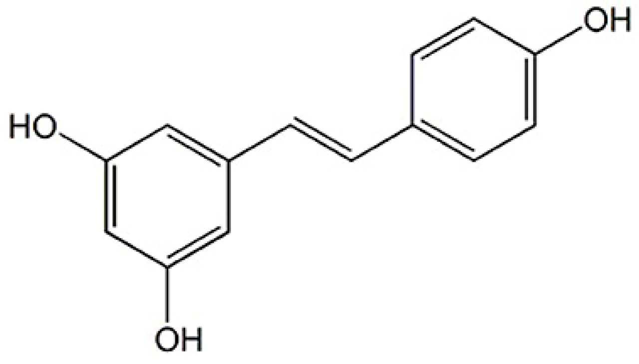 Biomimetics 10 00008 g001