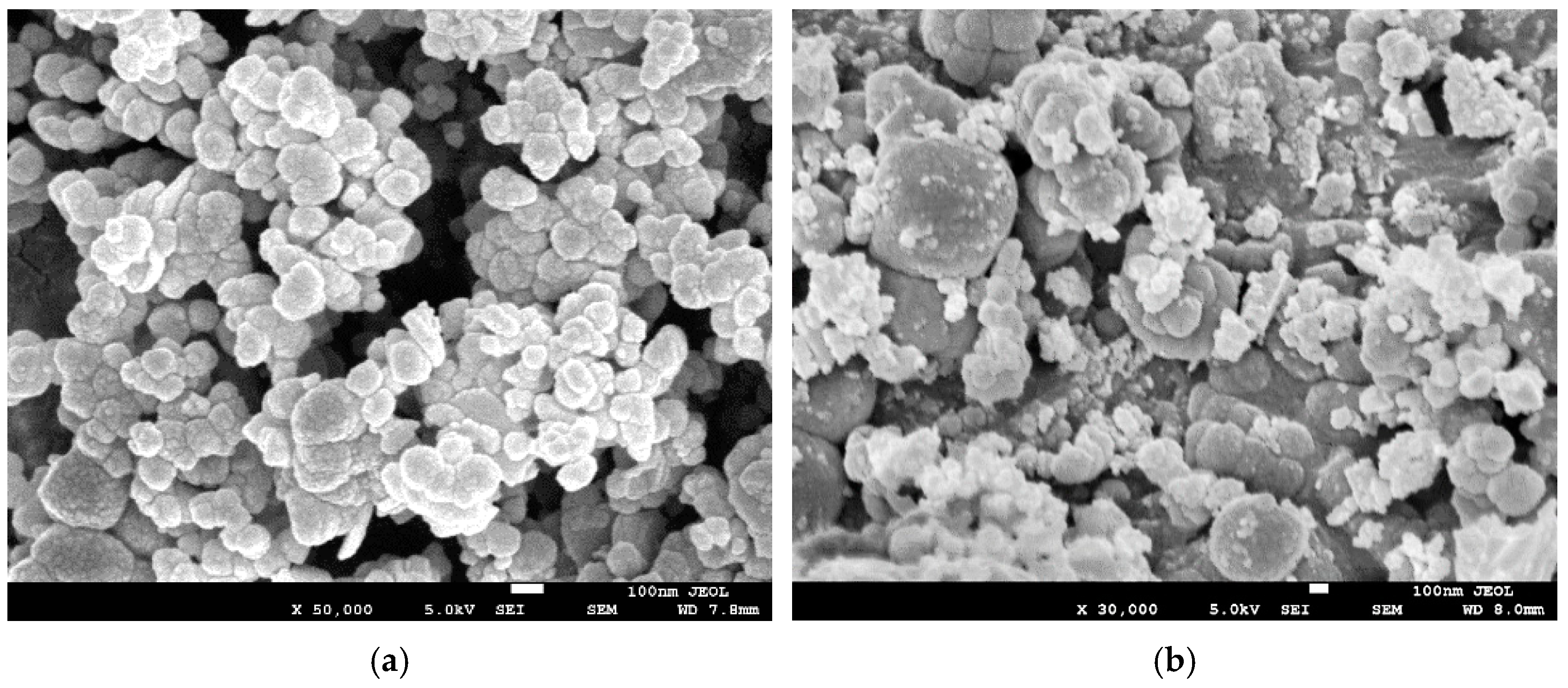 Biomimetics 10 00009 g003