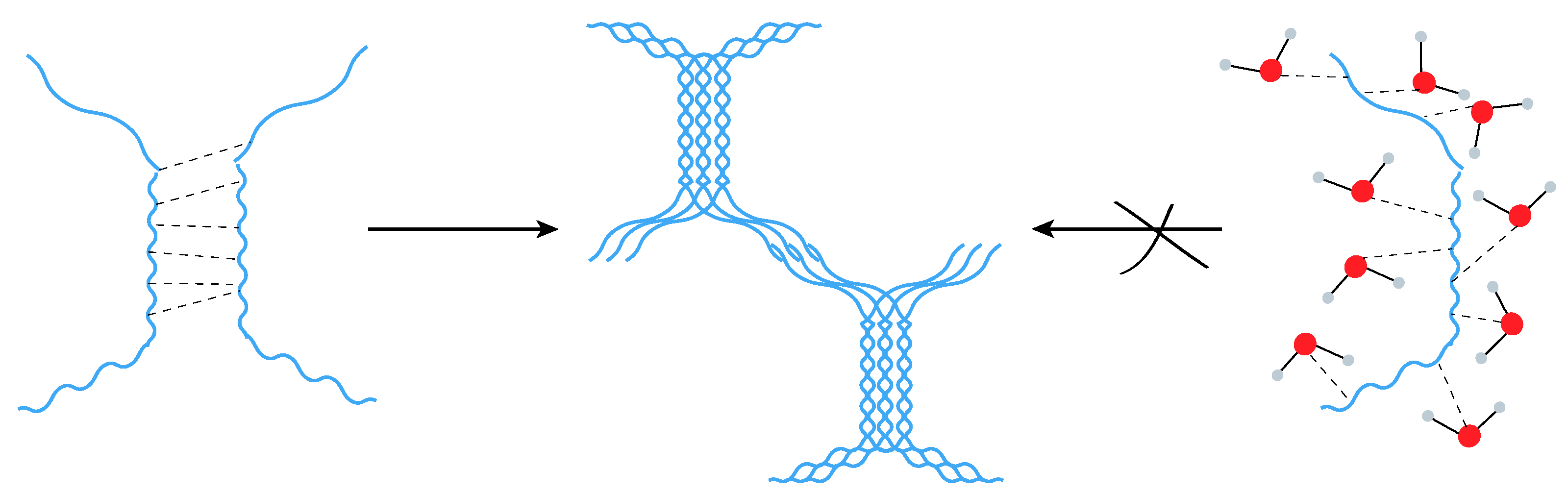 Biomimetics 10 00012 g004
