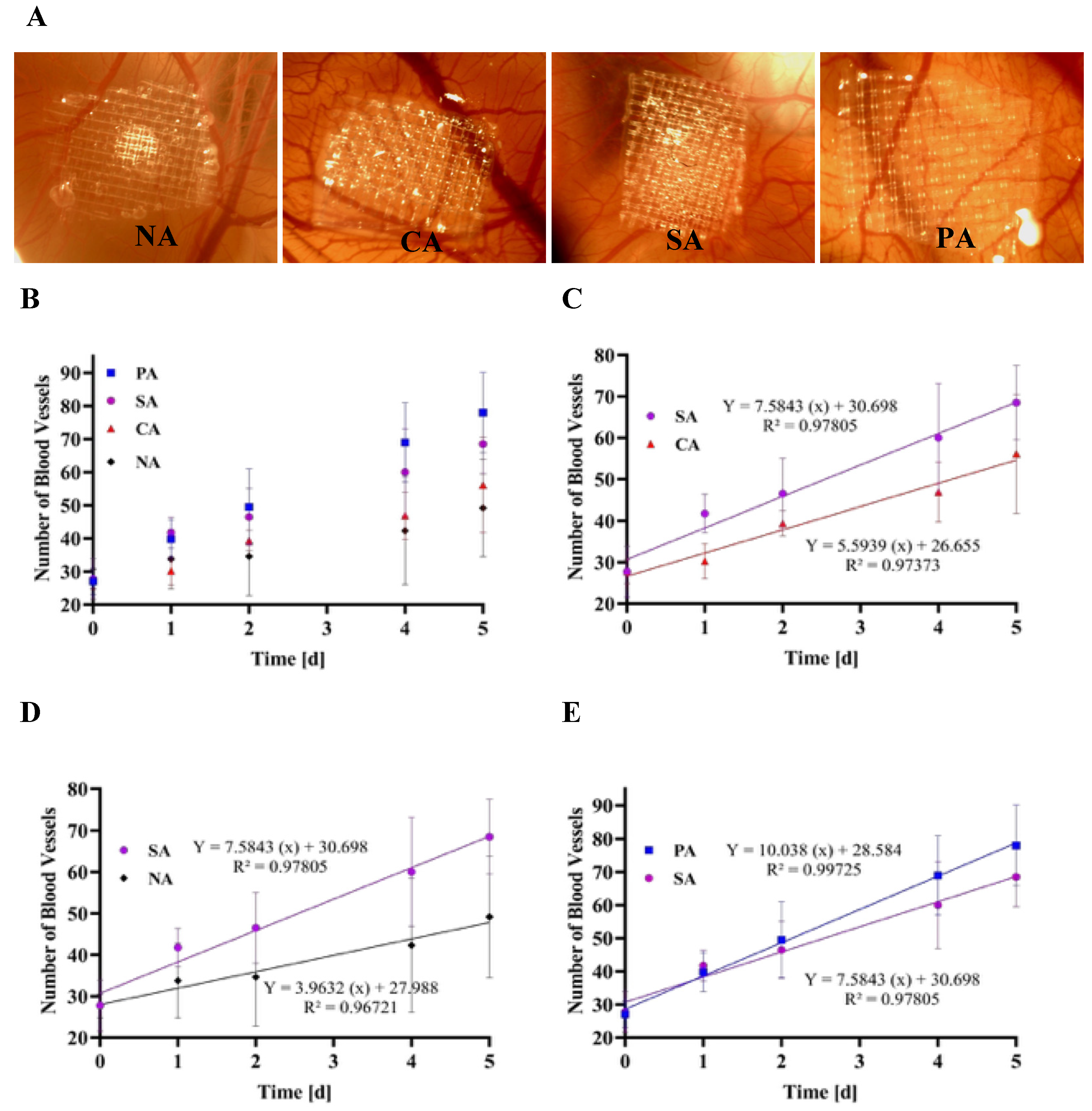 Biomimetics 10 00012 g006
