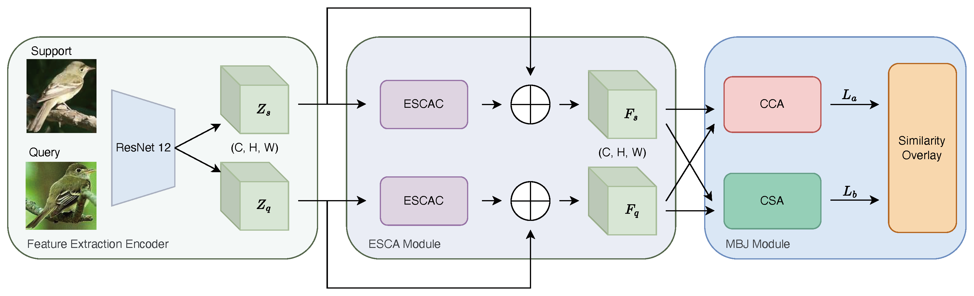Biomimetics 10 00016 g001