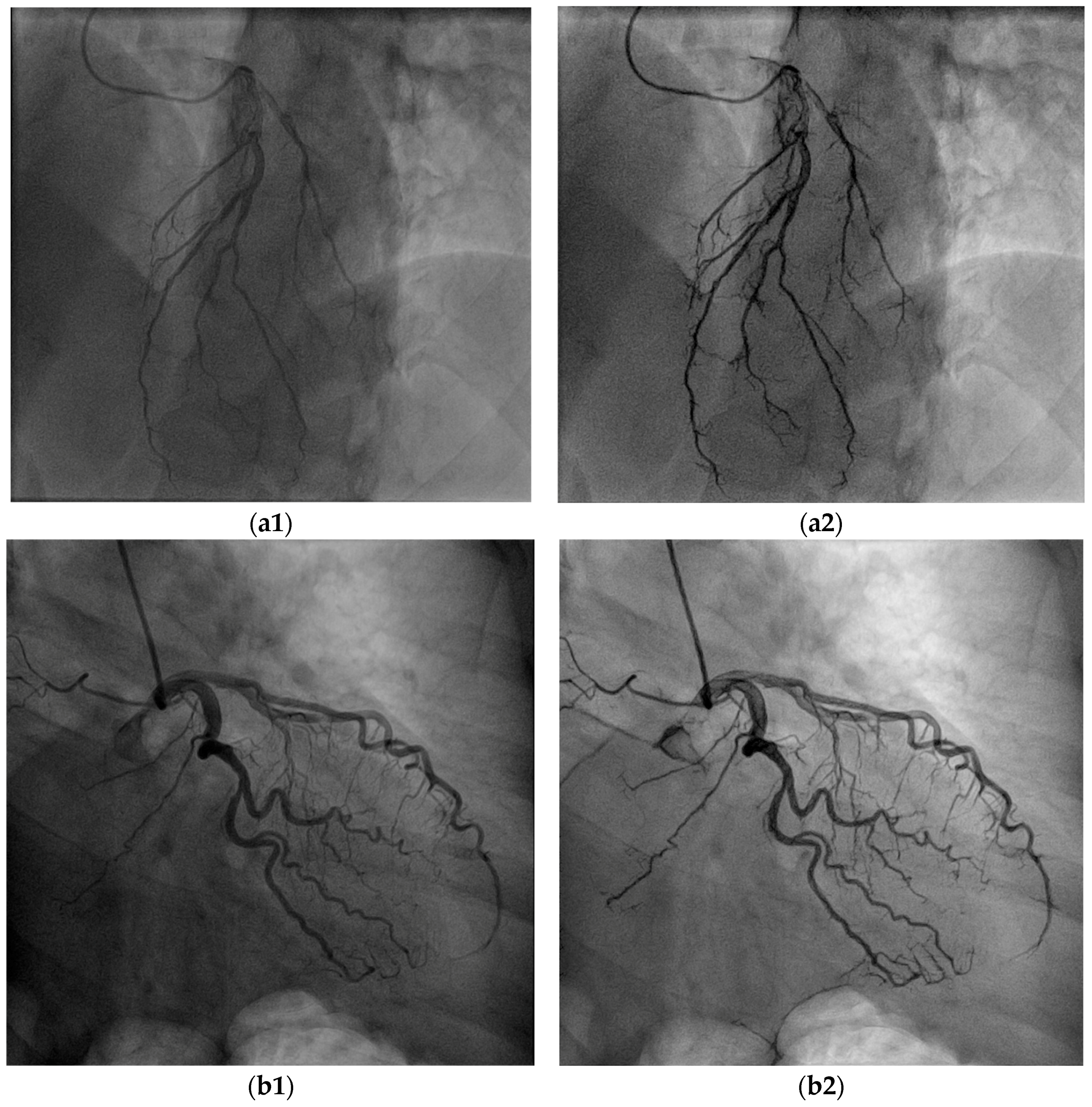 Biomimetics 10 00018 g007