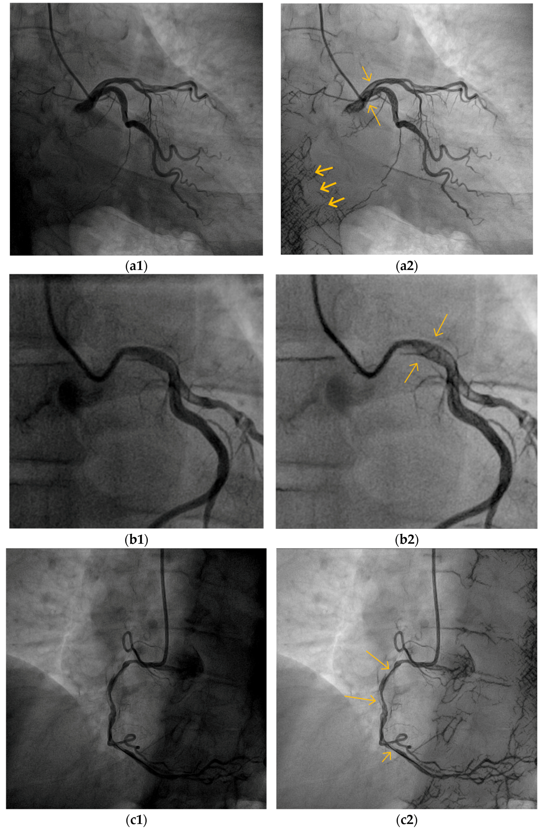 Biomimetics 10 00018 g008