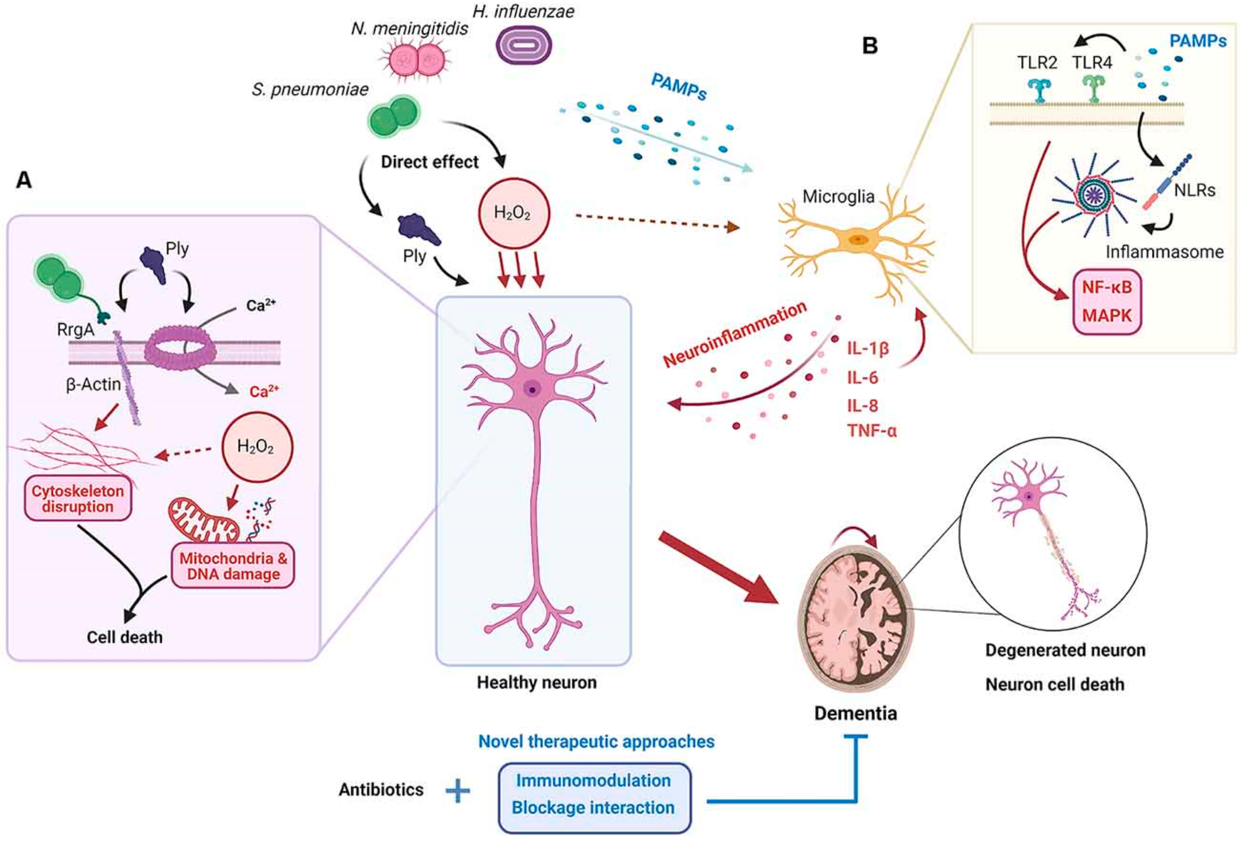 Biomimetics 10 00025 g001