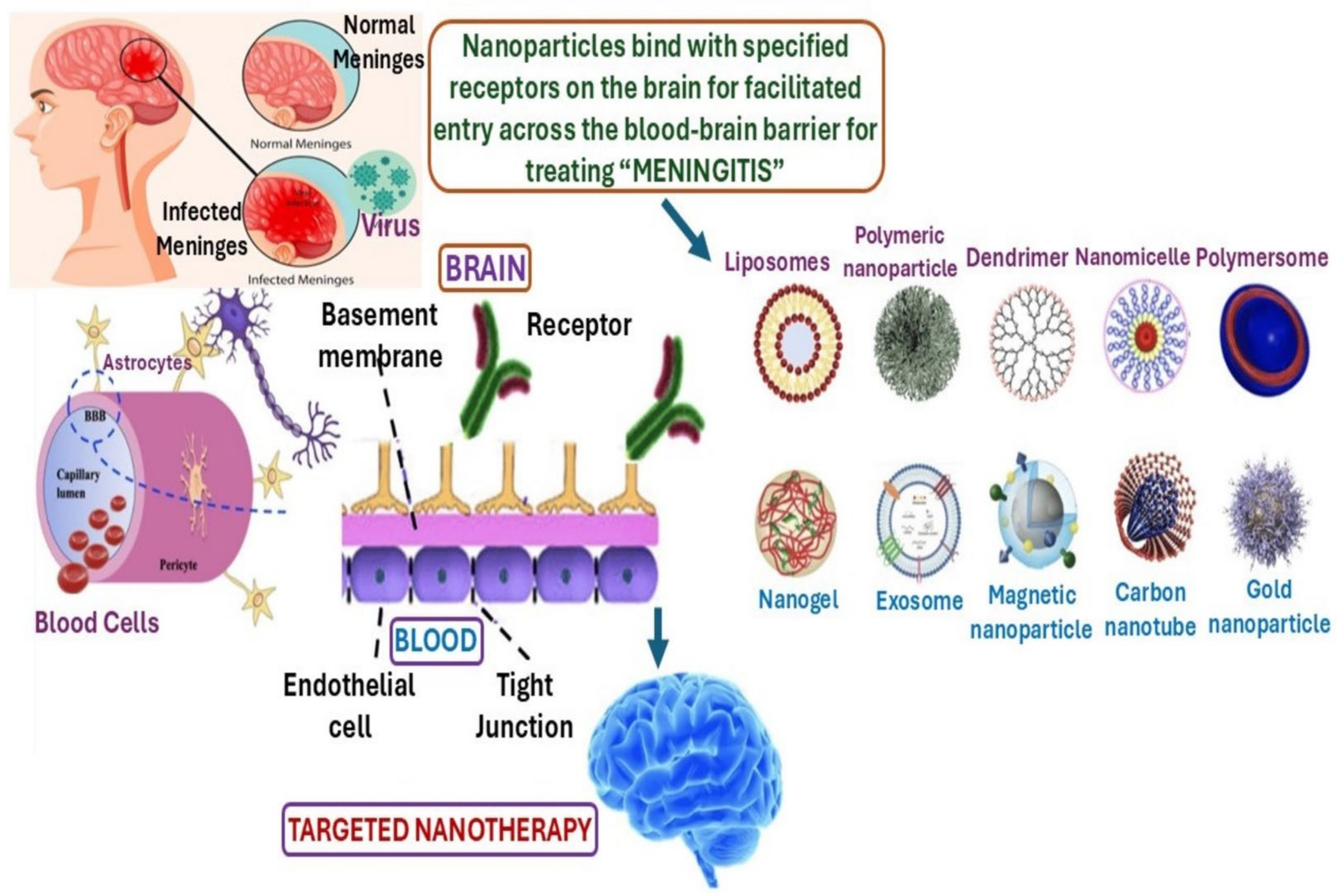 Biomimetics 10 00025 g002