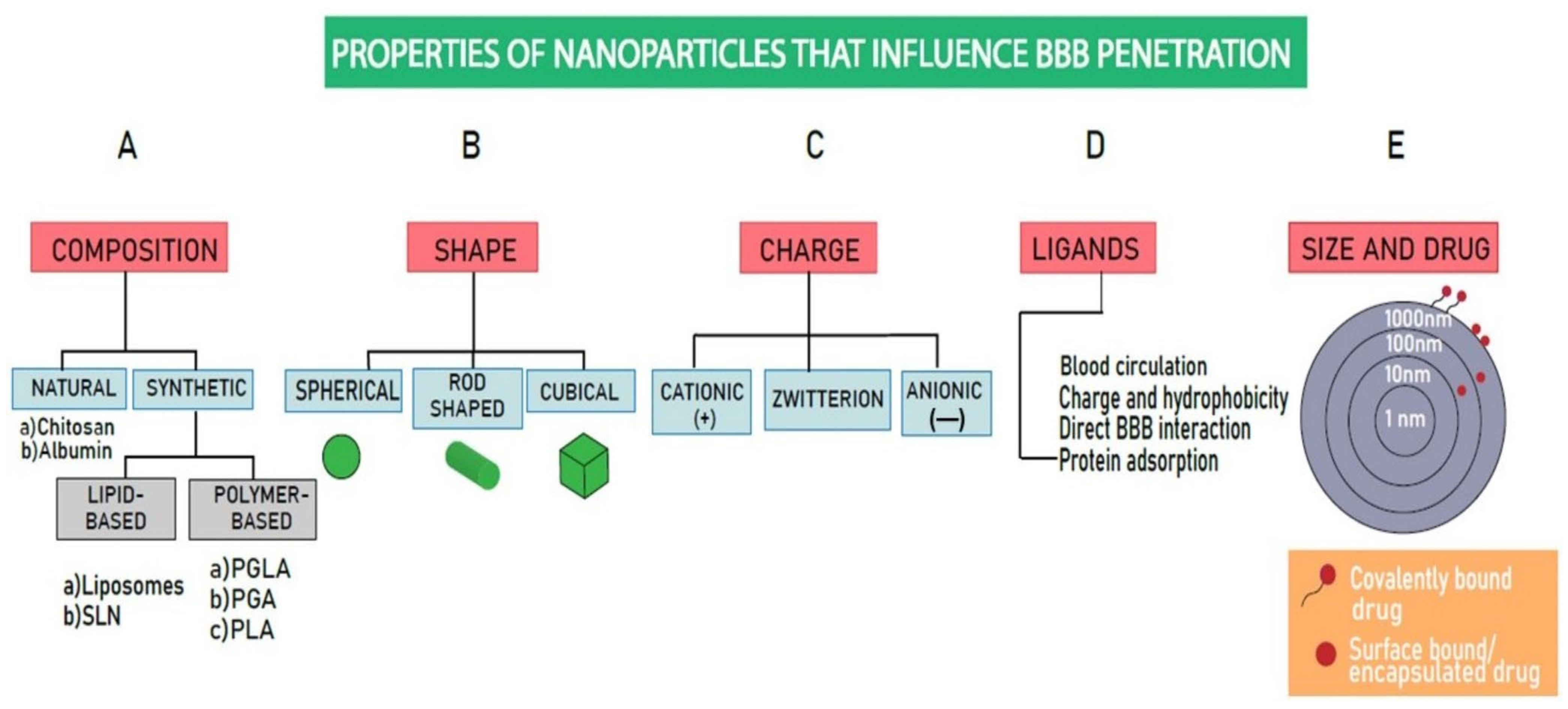 Biomimetics 10 00025 g003