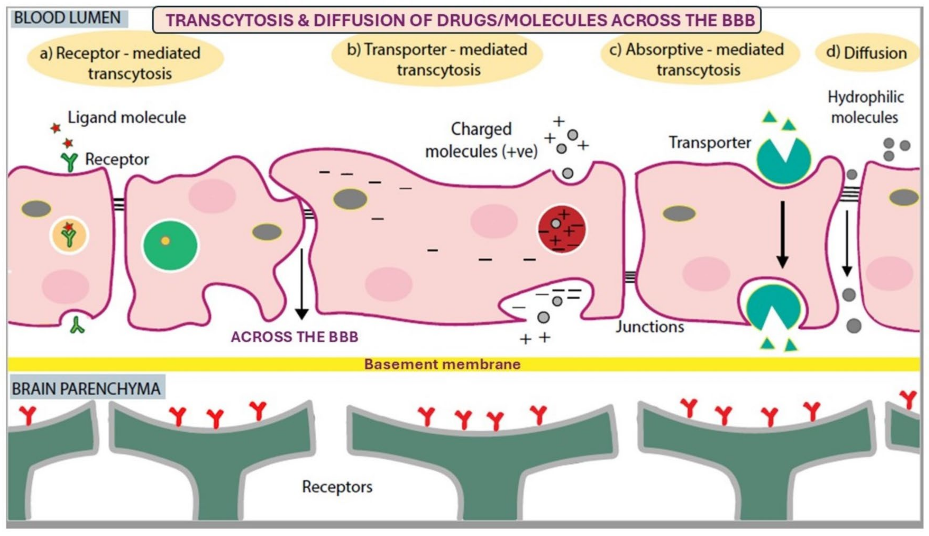 Biomimetics 10 00025 g004