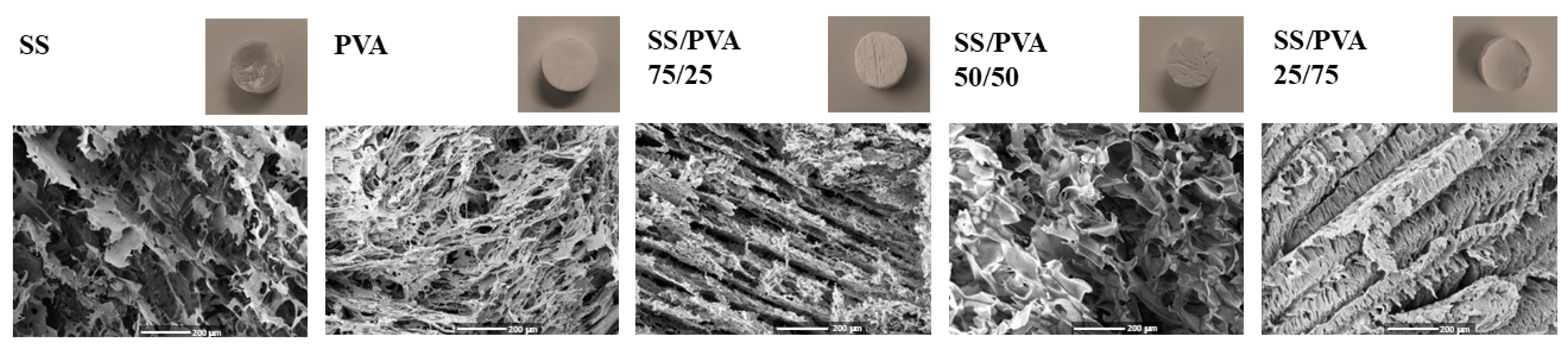 Biomimetics 10 00027 g003