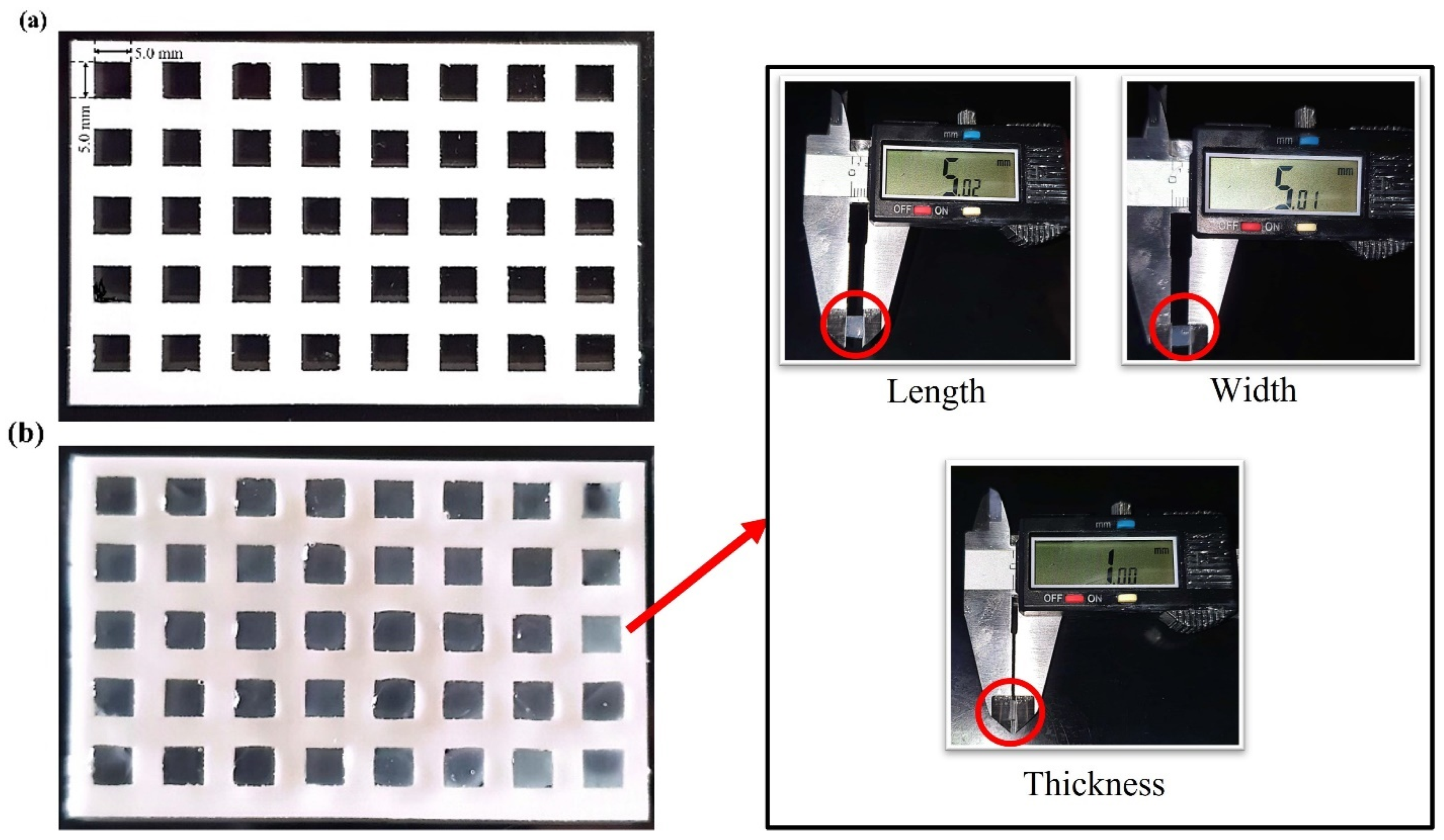 Biomimetics 10 00028 g002