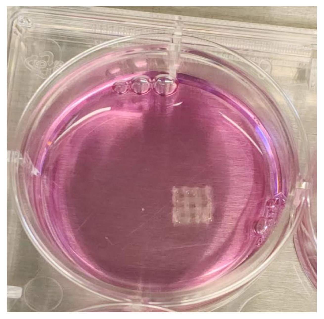 Biomimetics 10 00028 g003