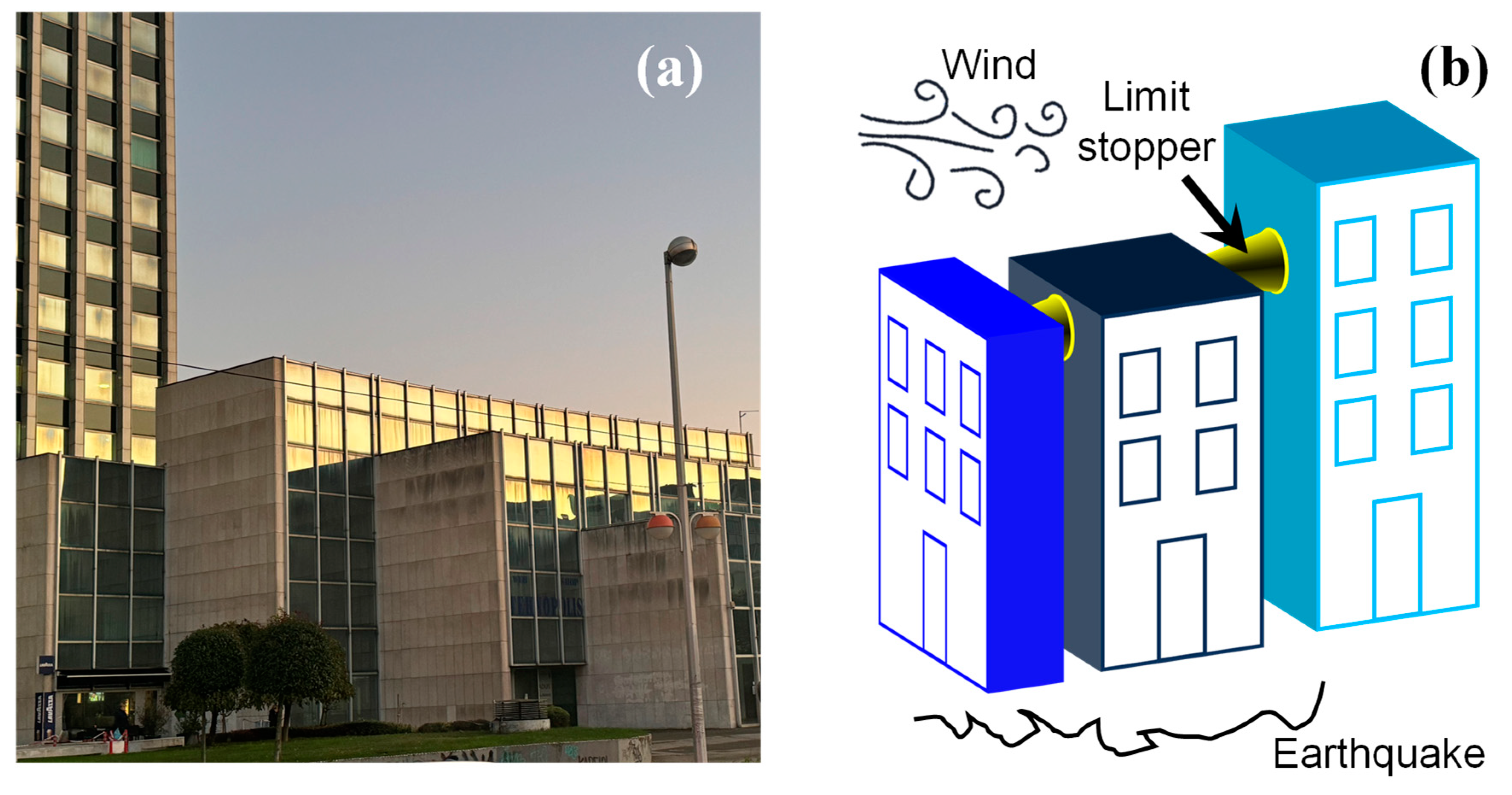 Biomimetics 10 00029 g013
