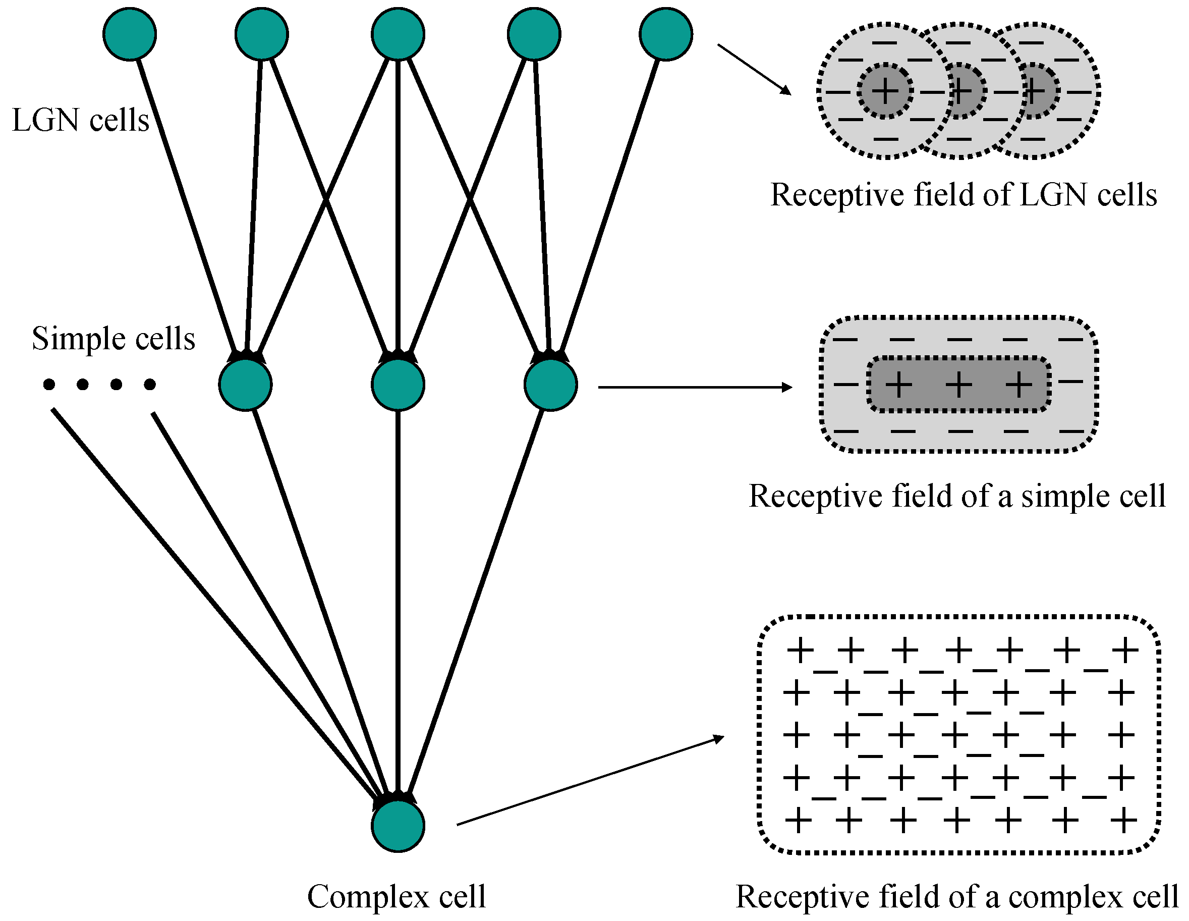 Biomimetics 10 00038 g001