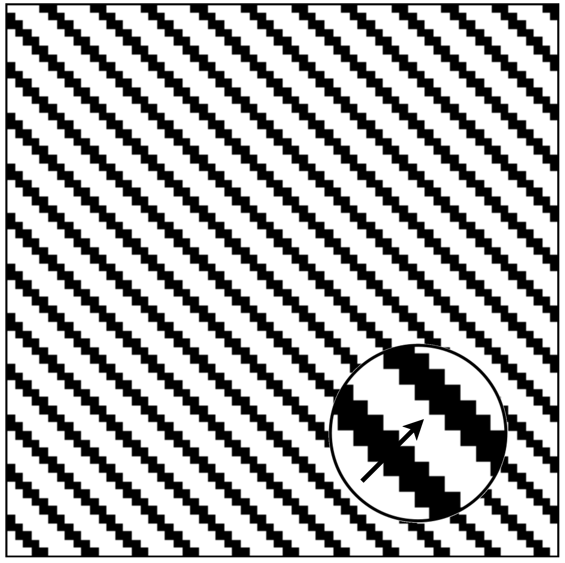 Biomimetics 10 00038 g007