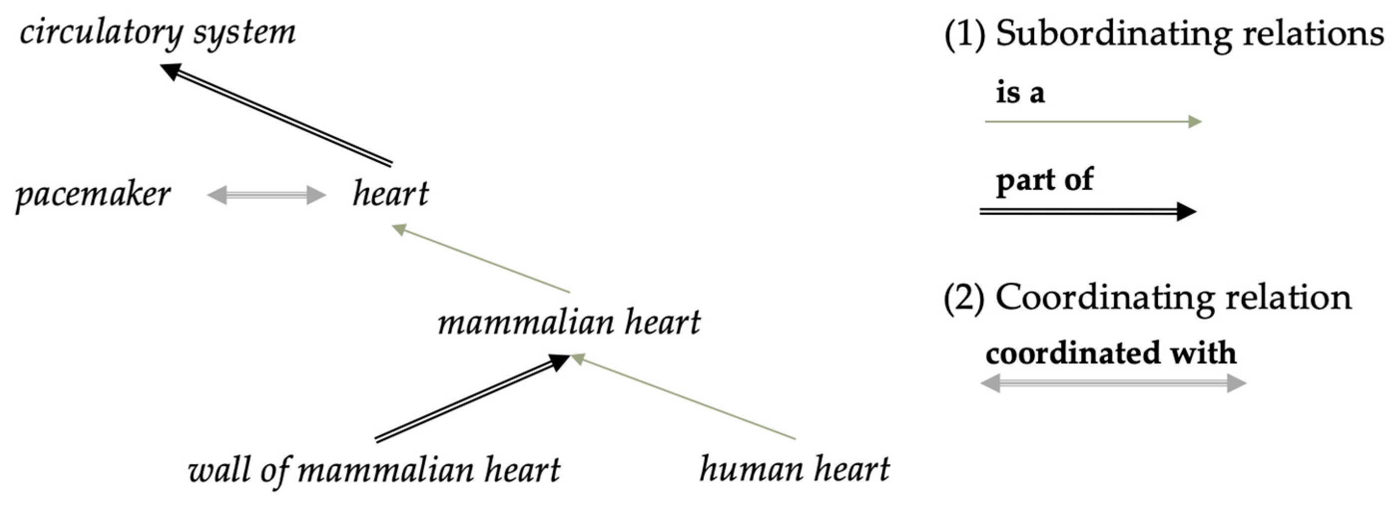 Biomimetics 10 00039 g001