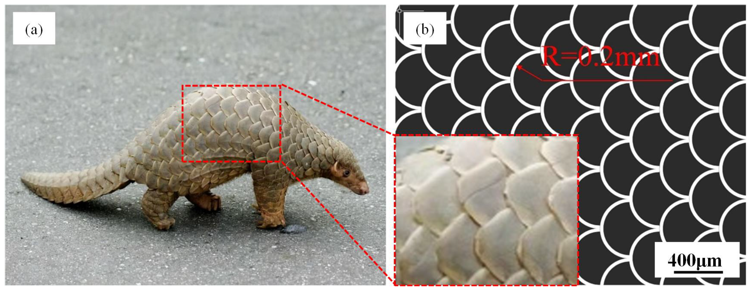 Biomimetics 10 00042 g001