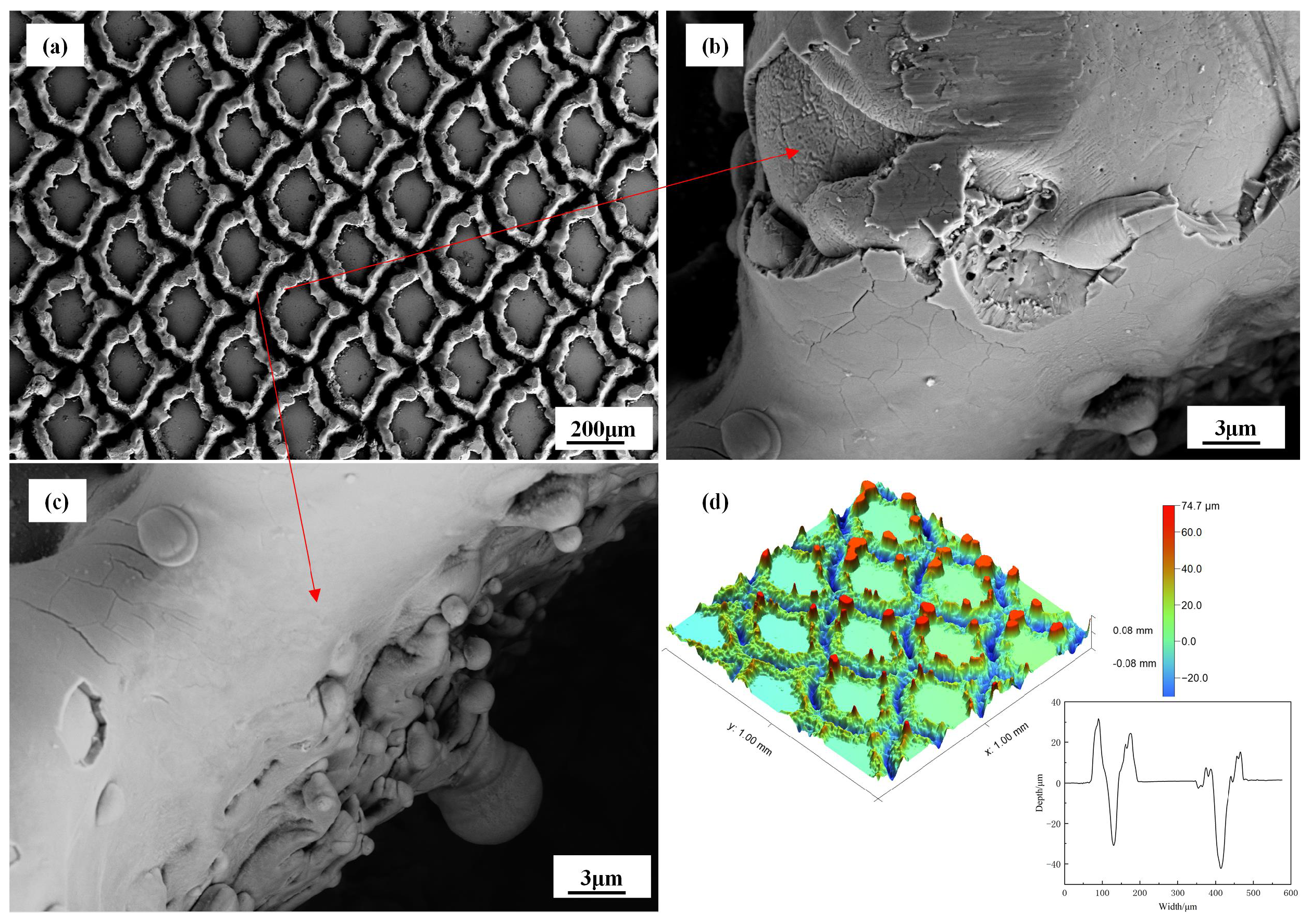 Biomimetics 10 00042 g004