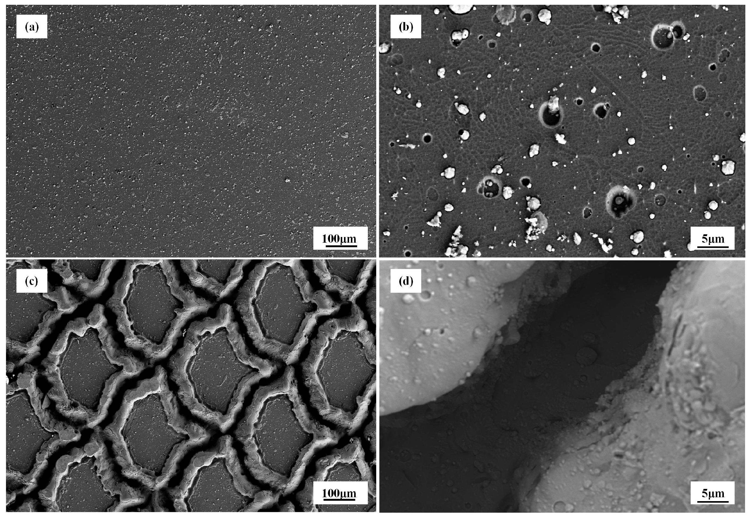 Biomimetics 10 00042 g005