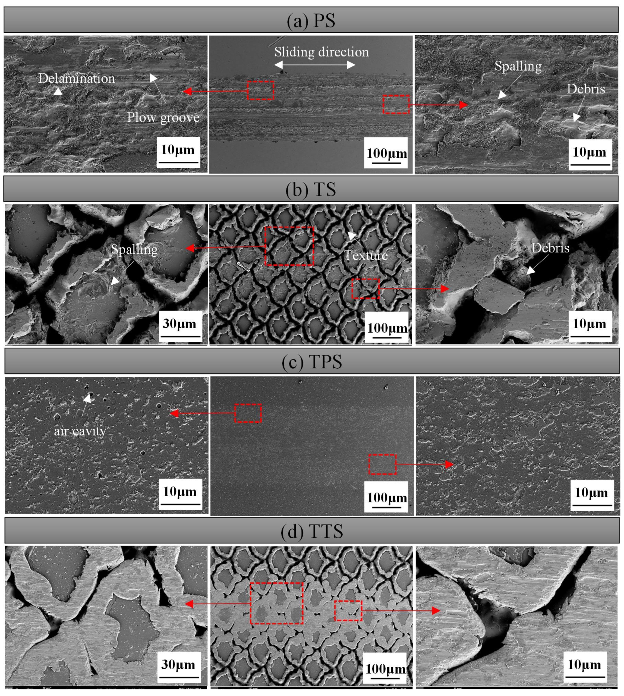 Biomimetics 10 00042 g012