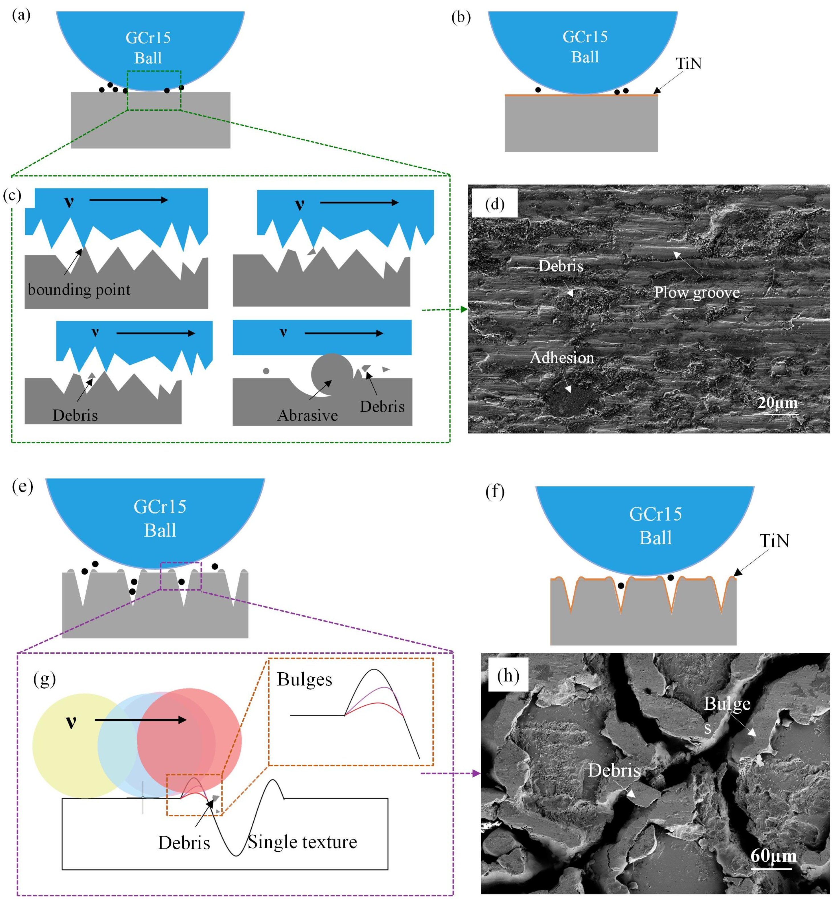Biomimetics 10 00042 g016
