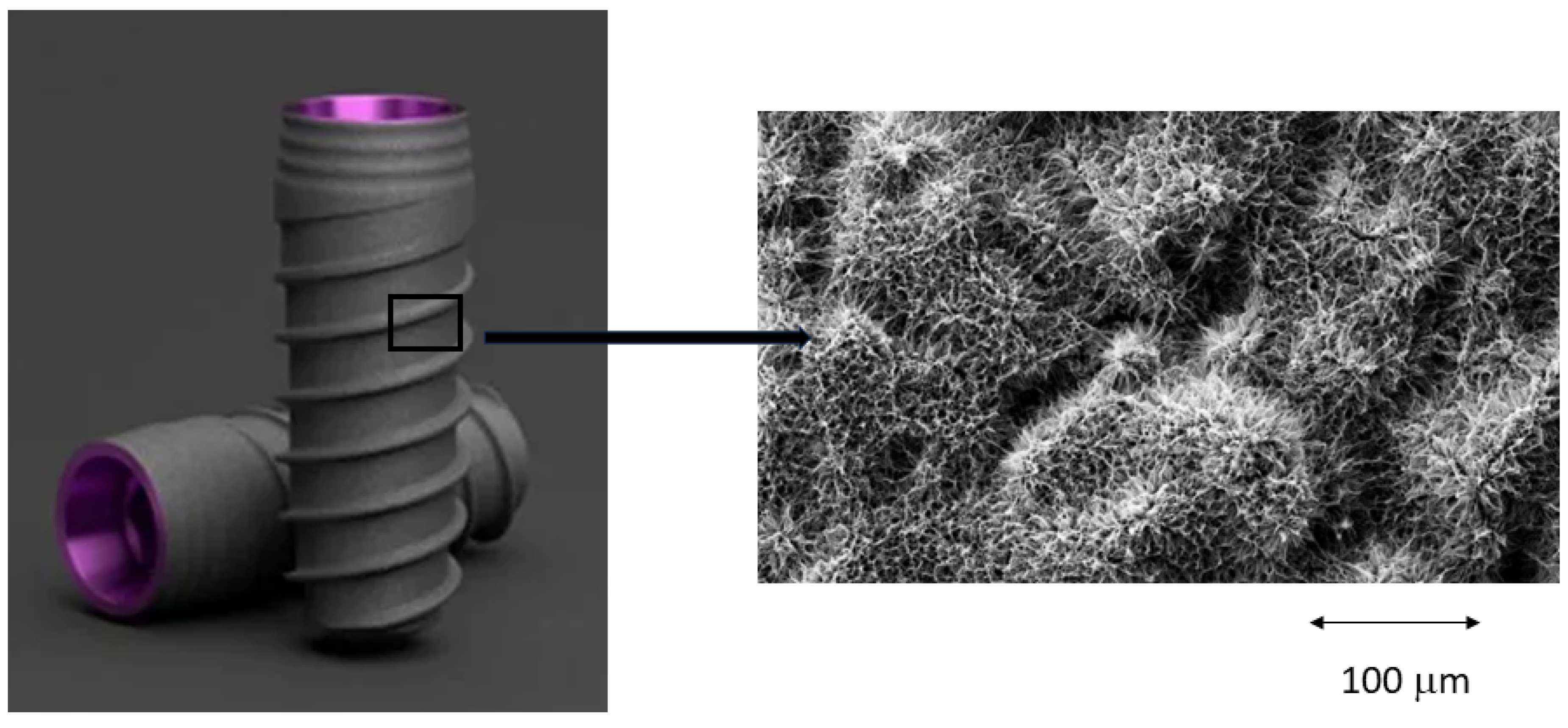 Biomimetics 10 00043 g001