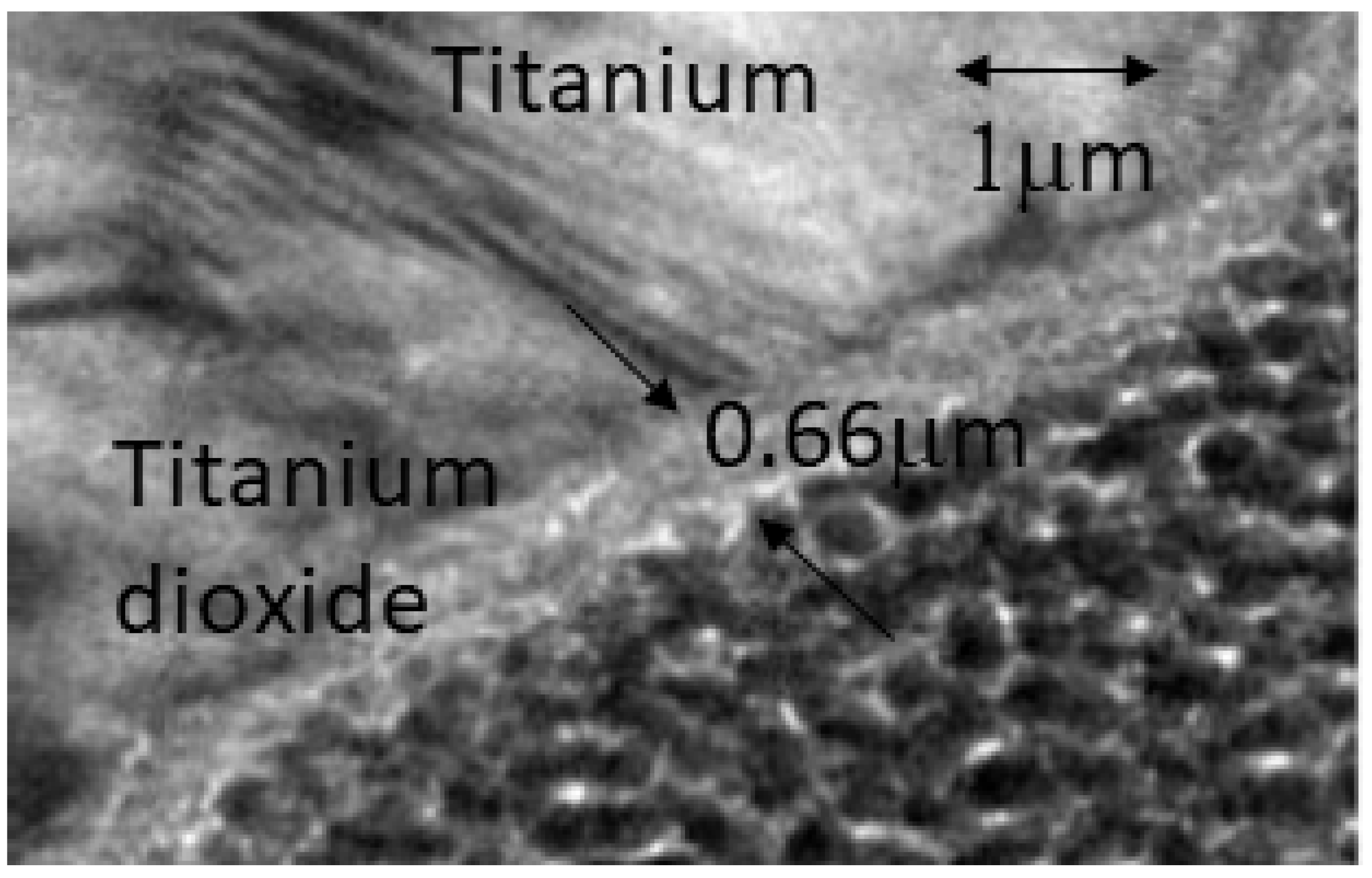 Biomimetics 10 00043 g002