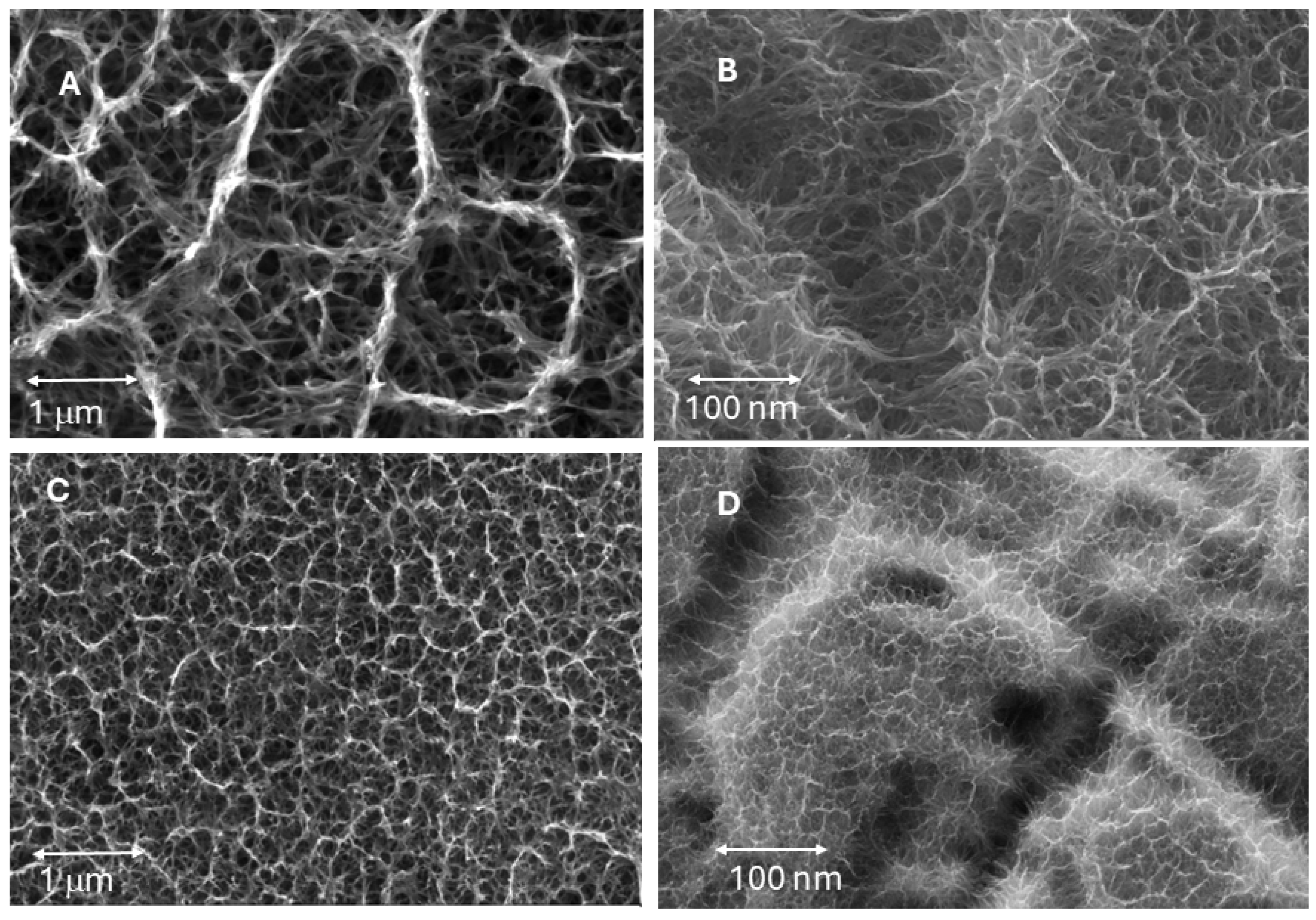 Biomimetics 10 00043 g004a