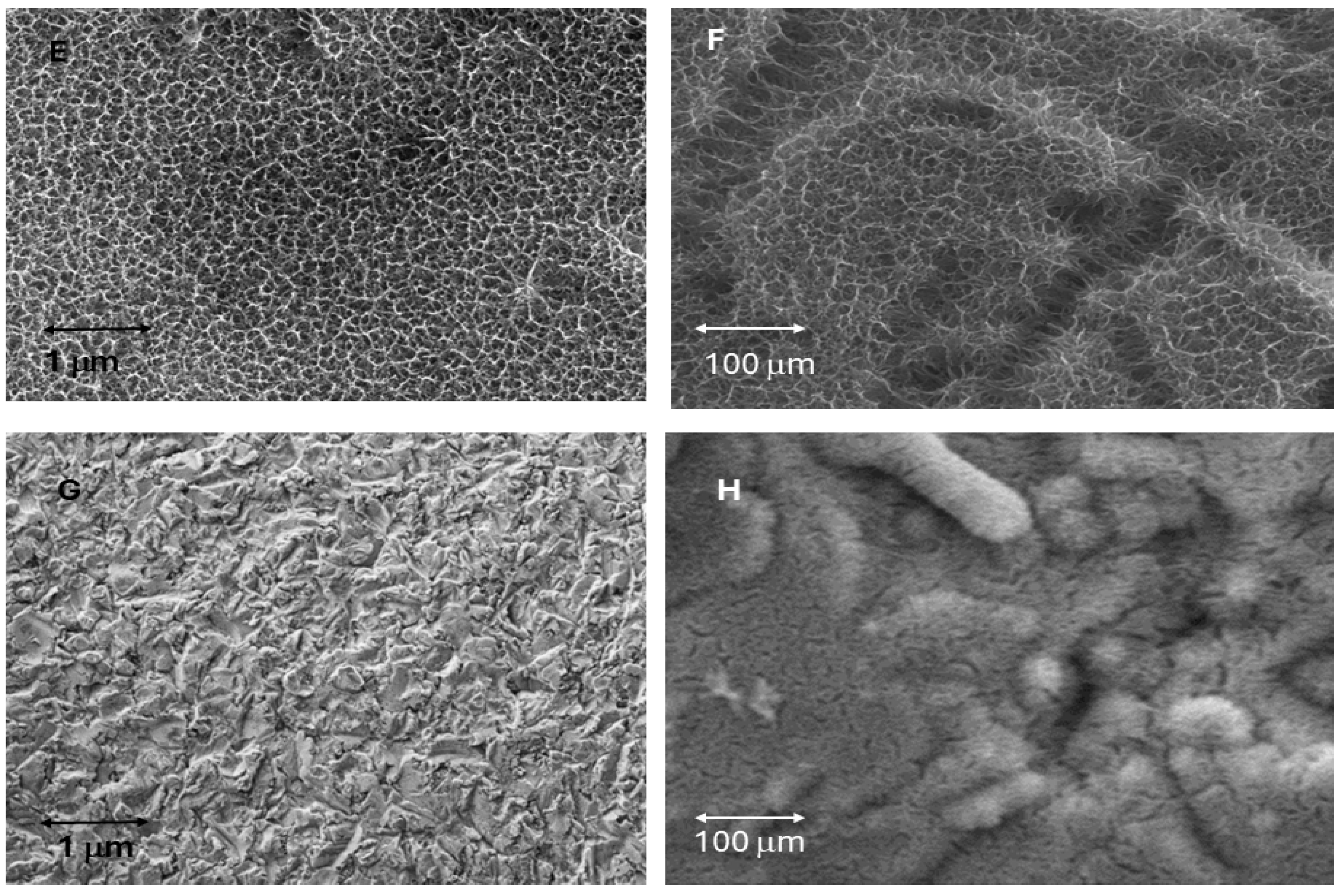 Biomimetics 10 00043 g004b