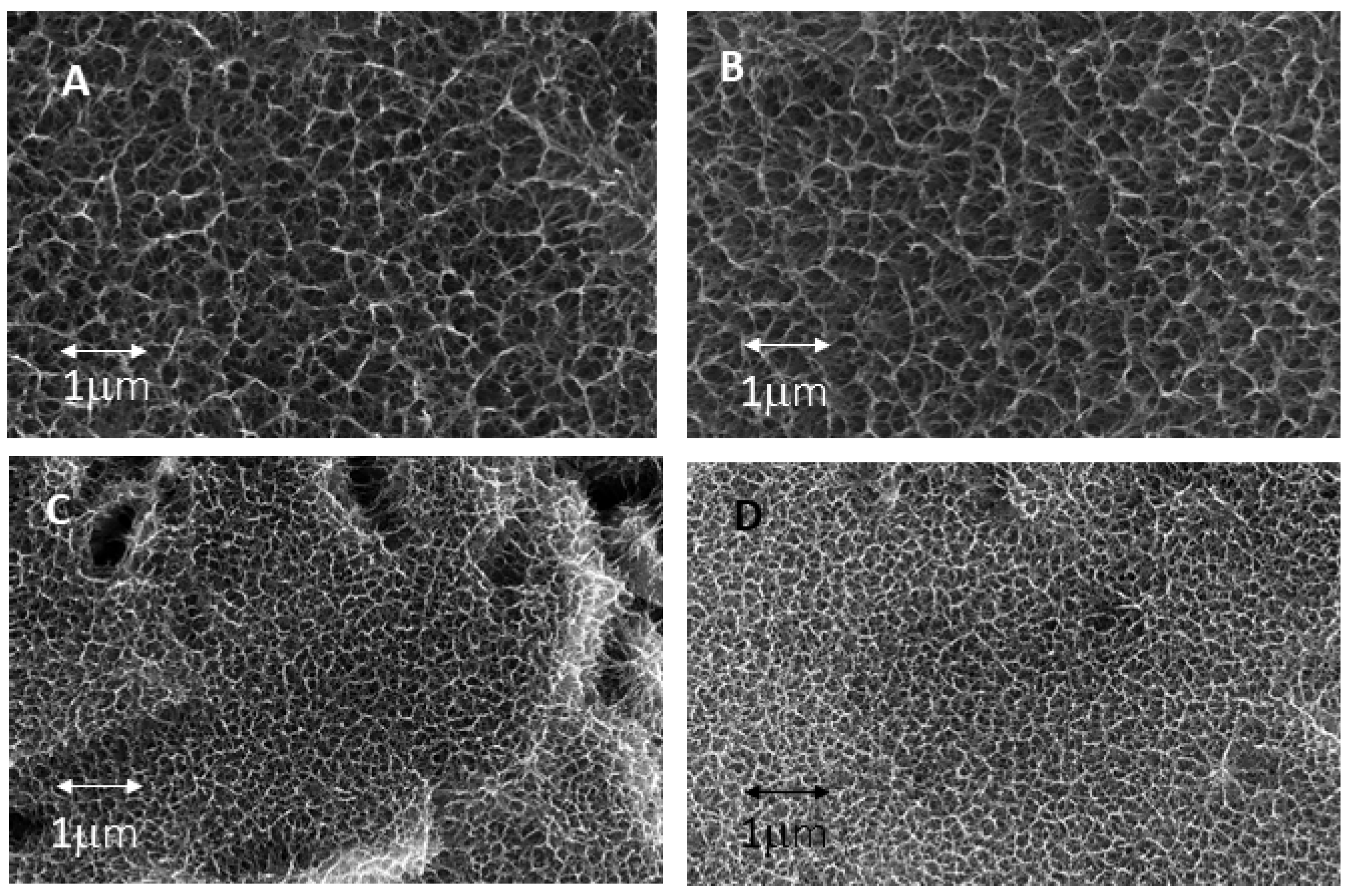 Biomimetics 10 00043 g011