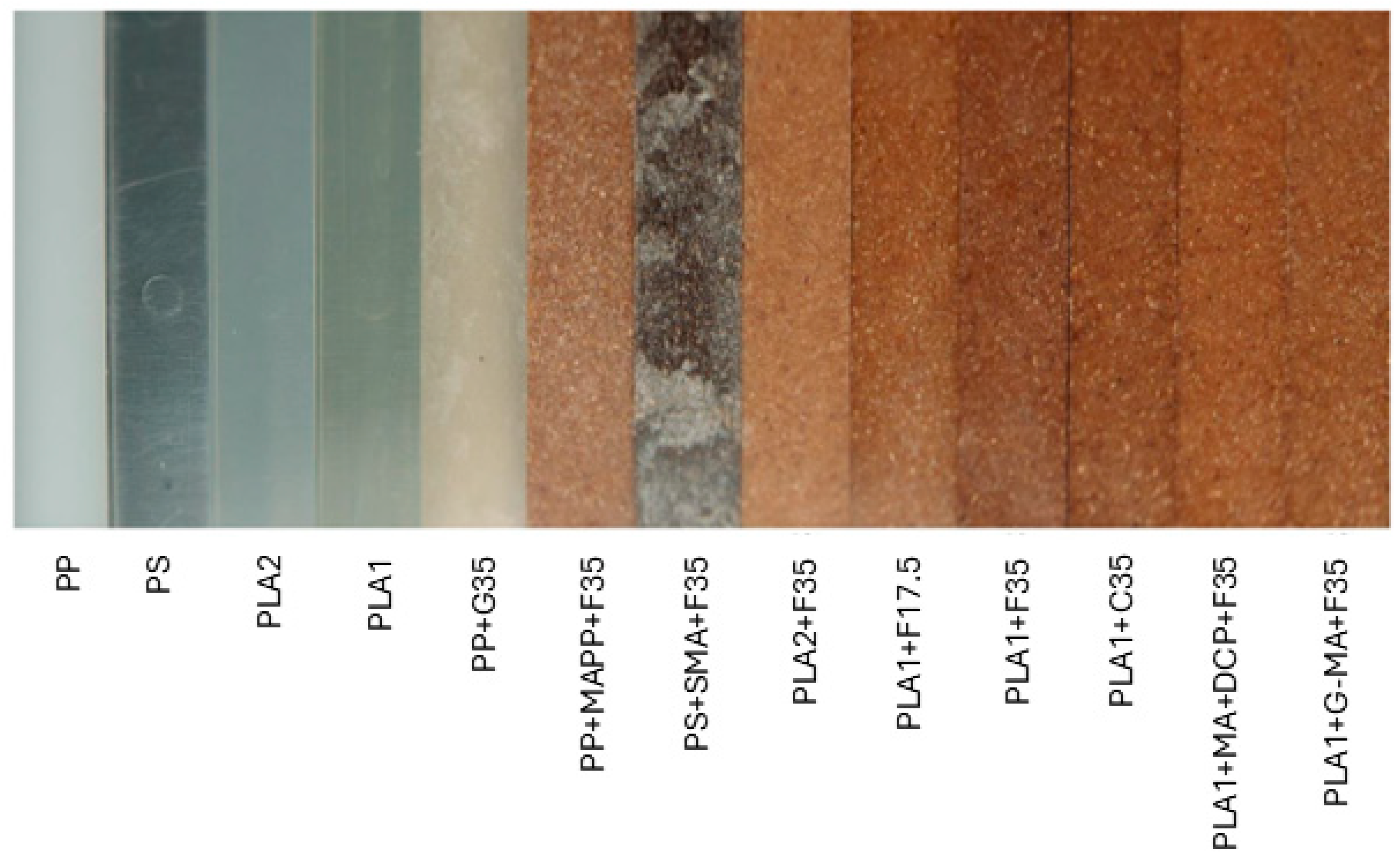 Biomimetics 10 00046 g003