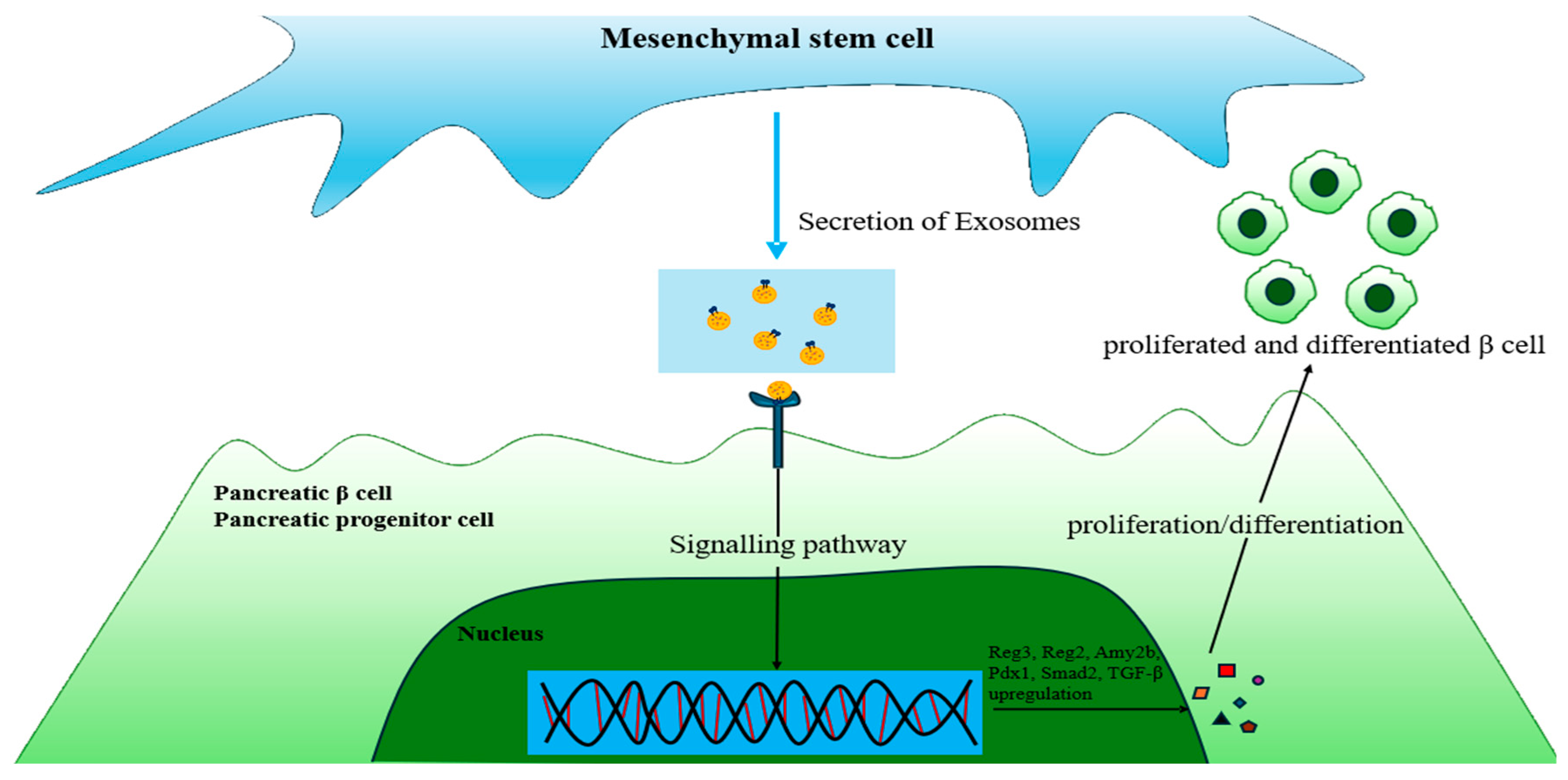Biomimetics 10 00049 g005