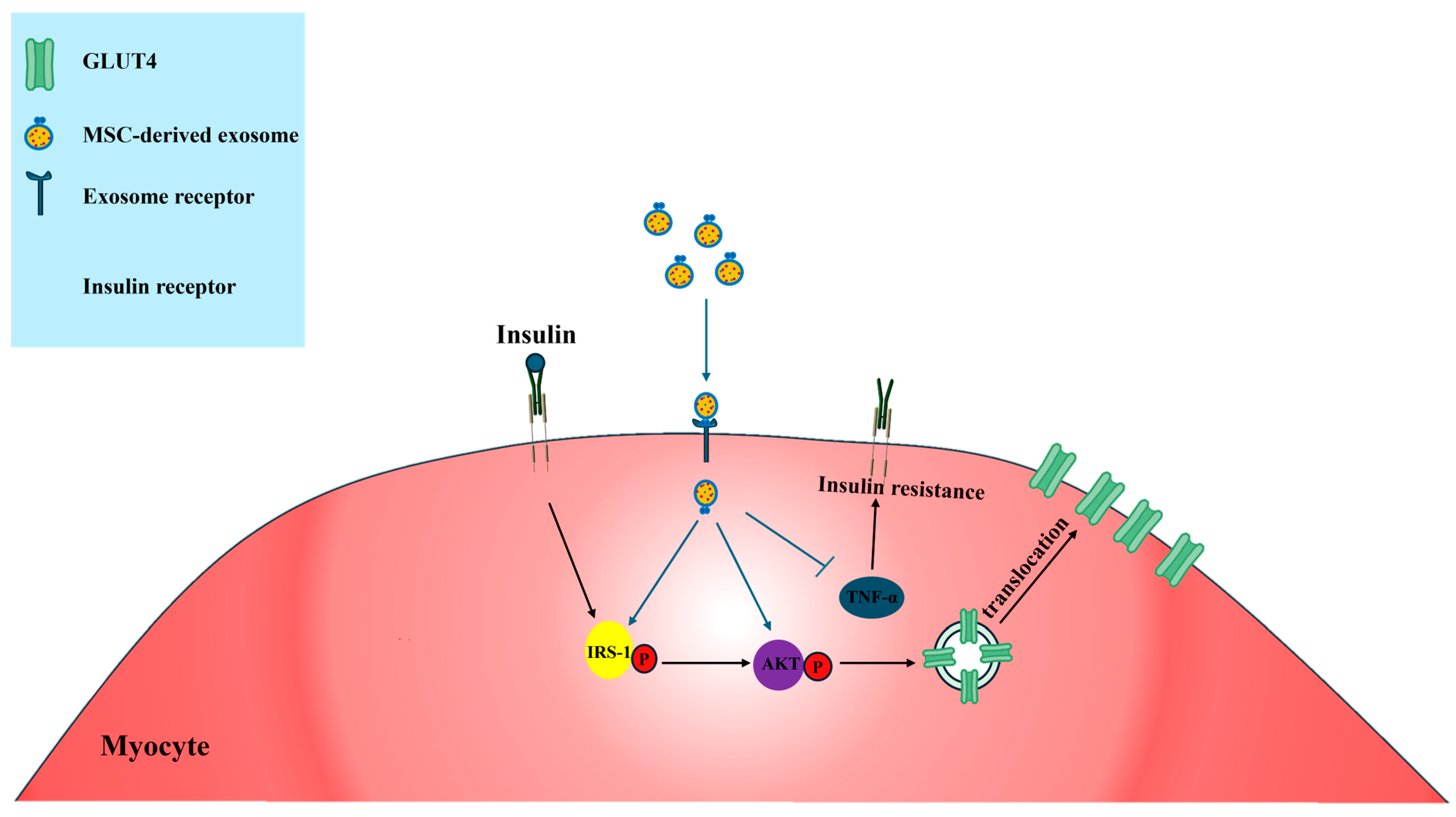Biomimetics 10 00049 g007