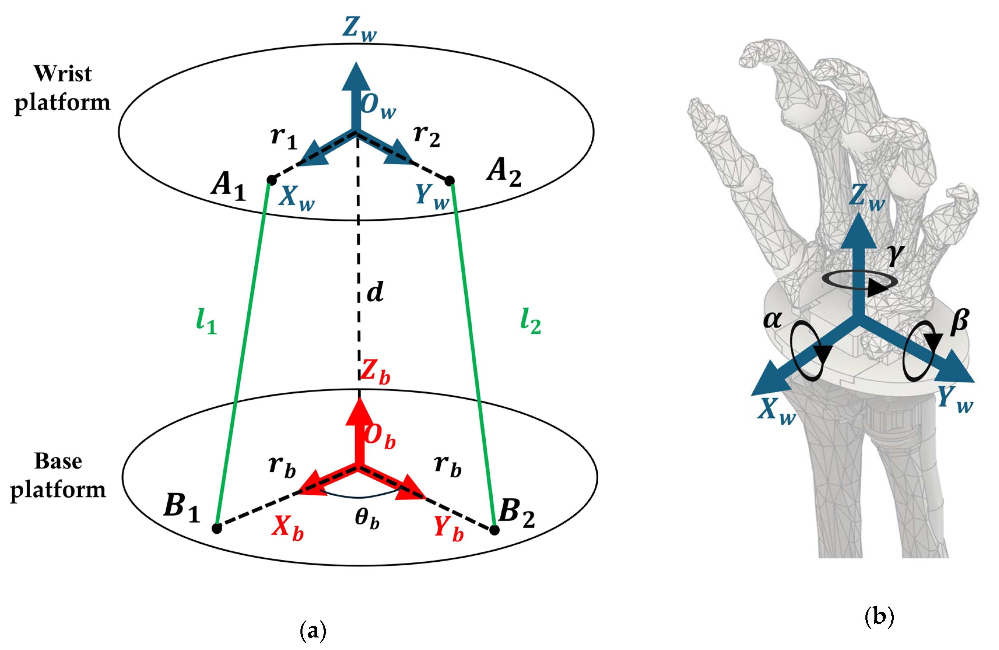 Biomimetics 10 00052 g004