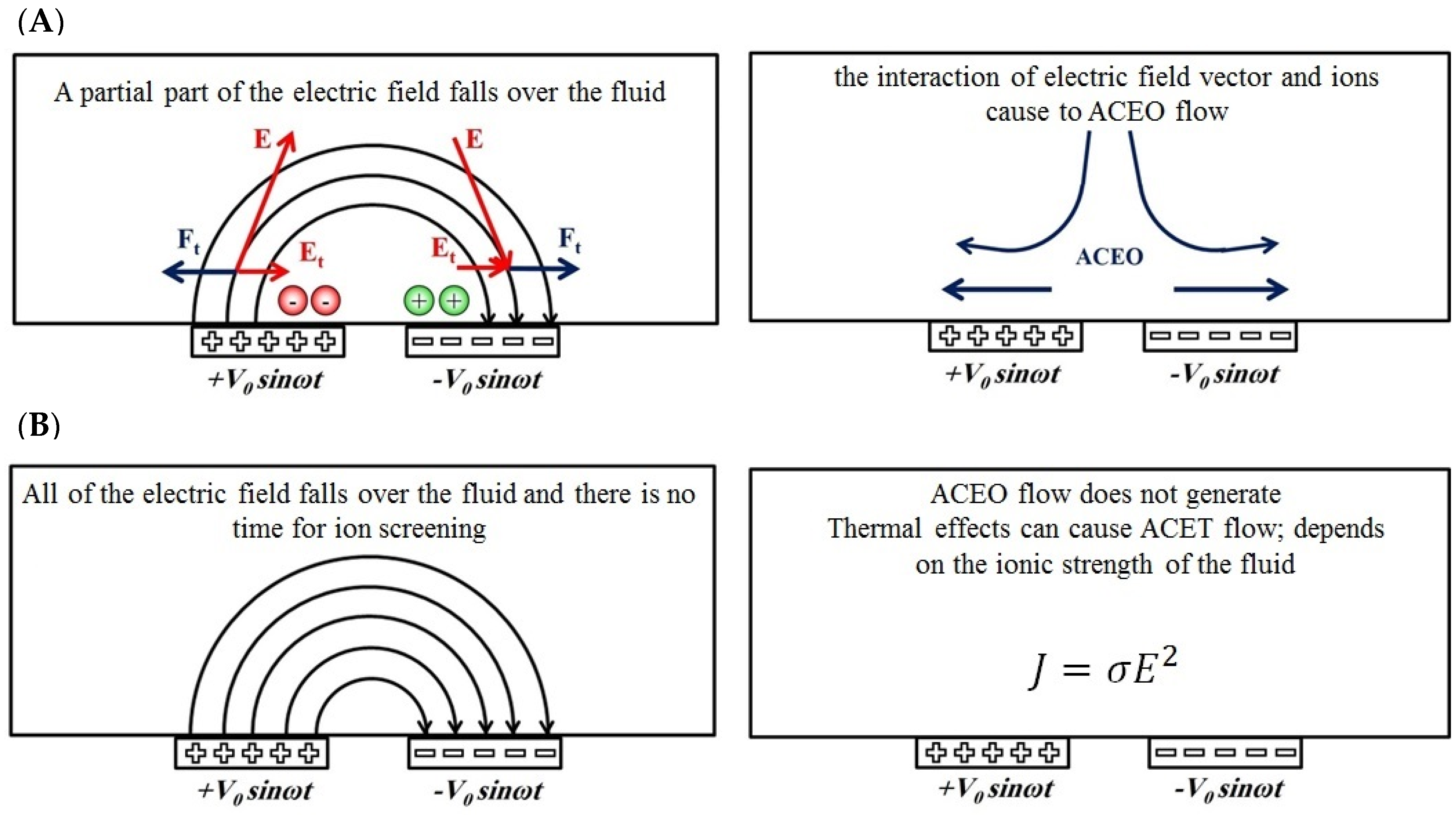 Biomimetics 10 00056 g001