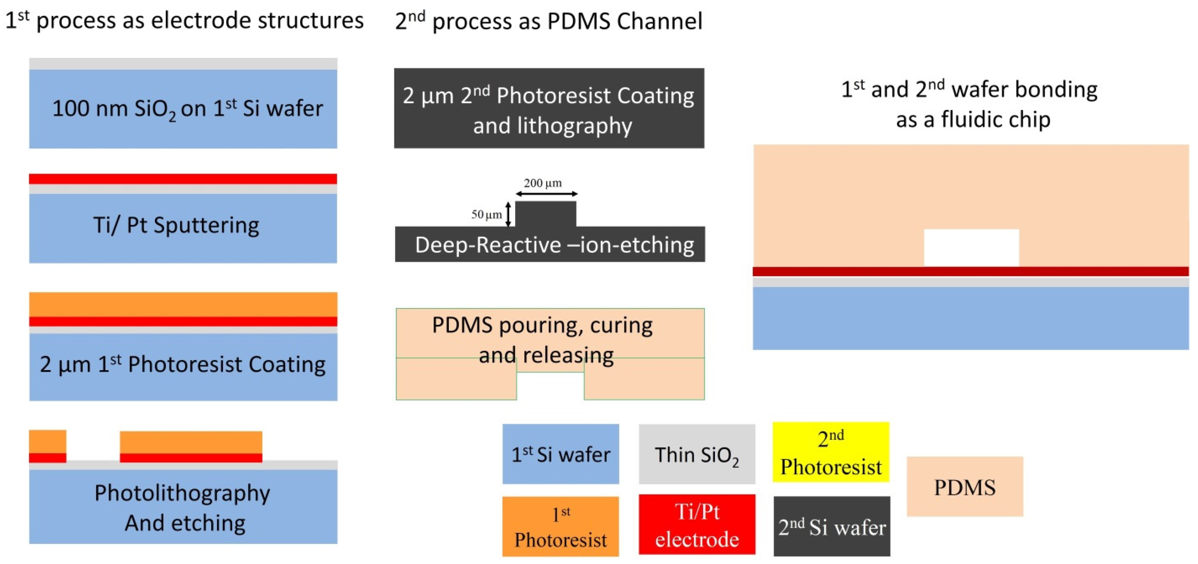 Biomimetics 10 00056 g008