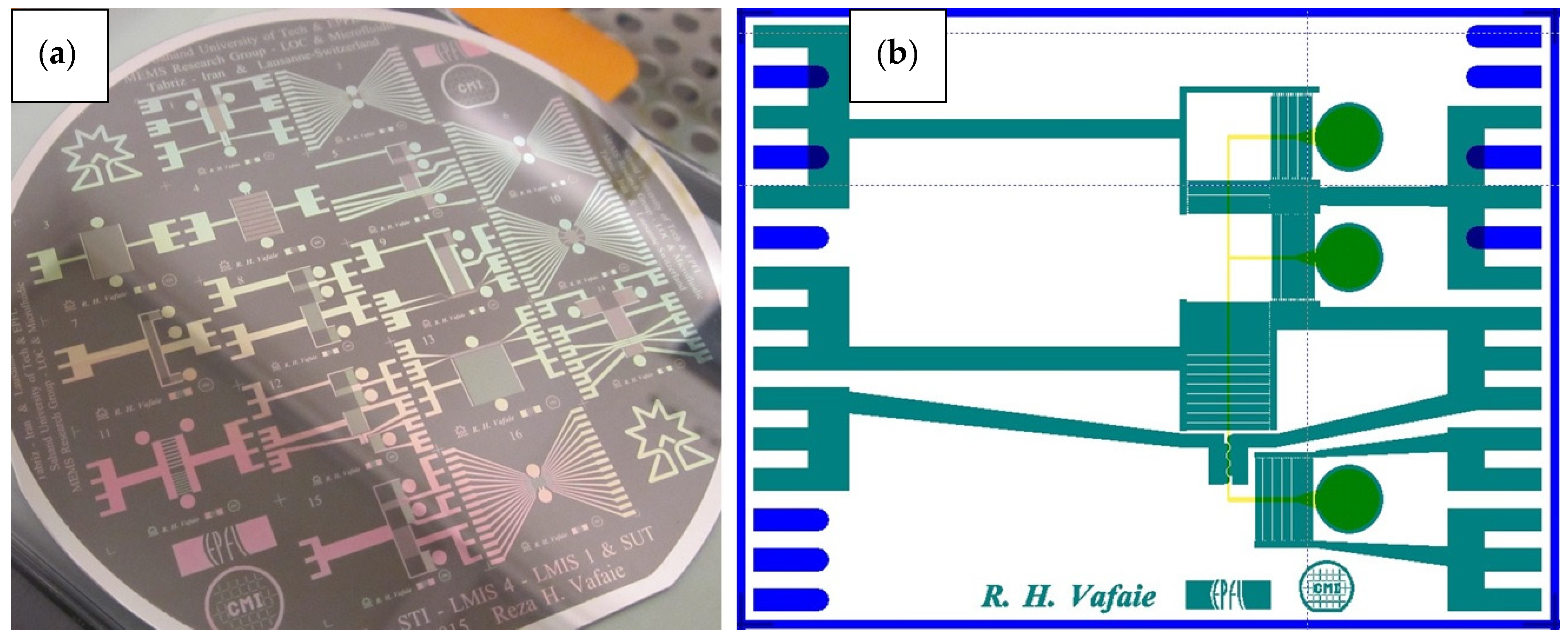 Biomimetics 10 00056 g009