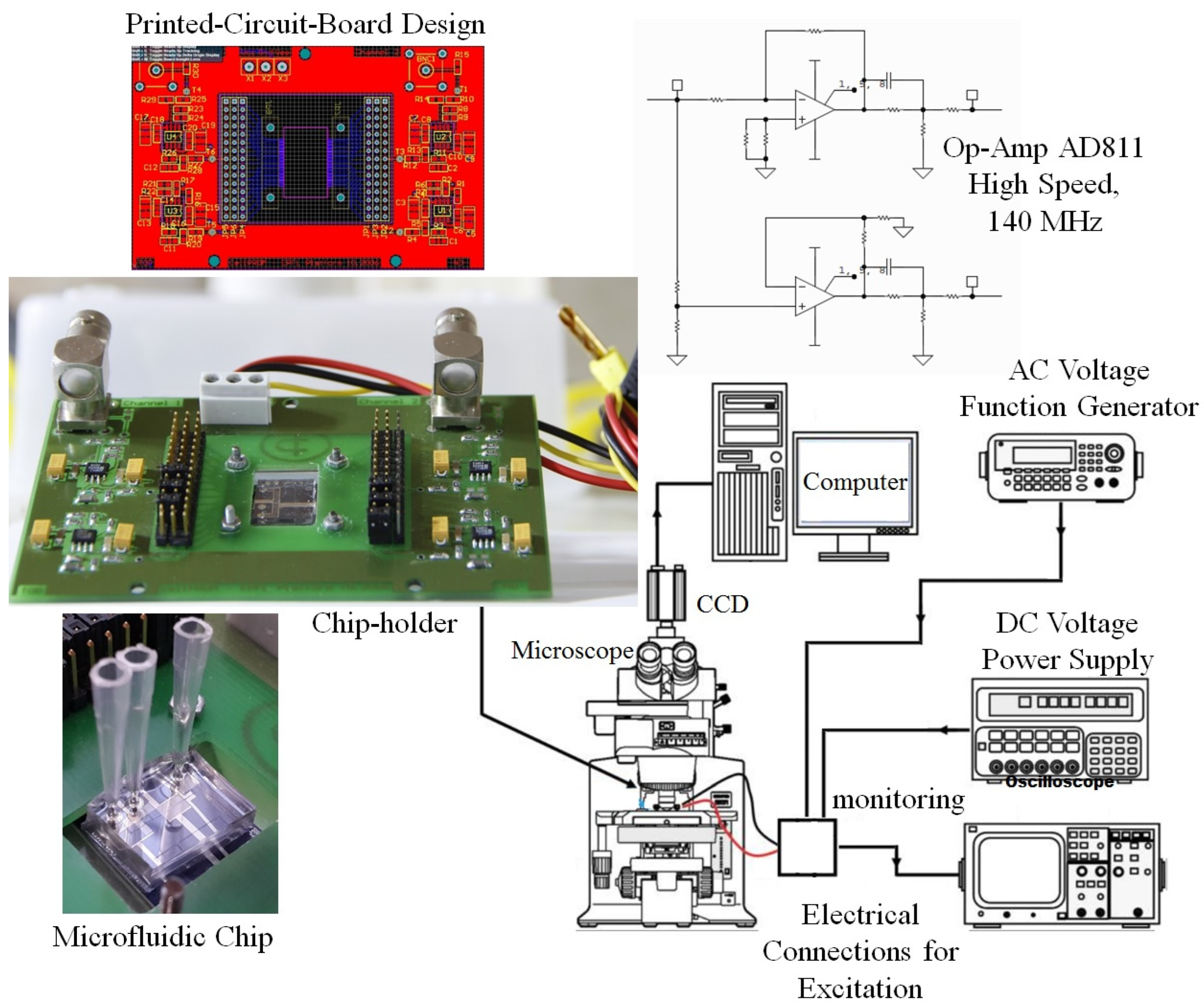 Biomimetics 10 00056 g010