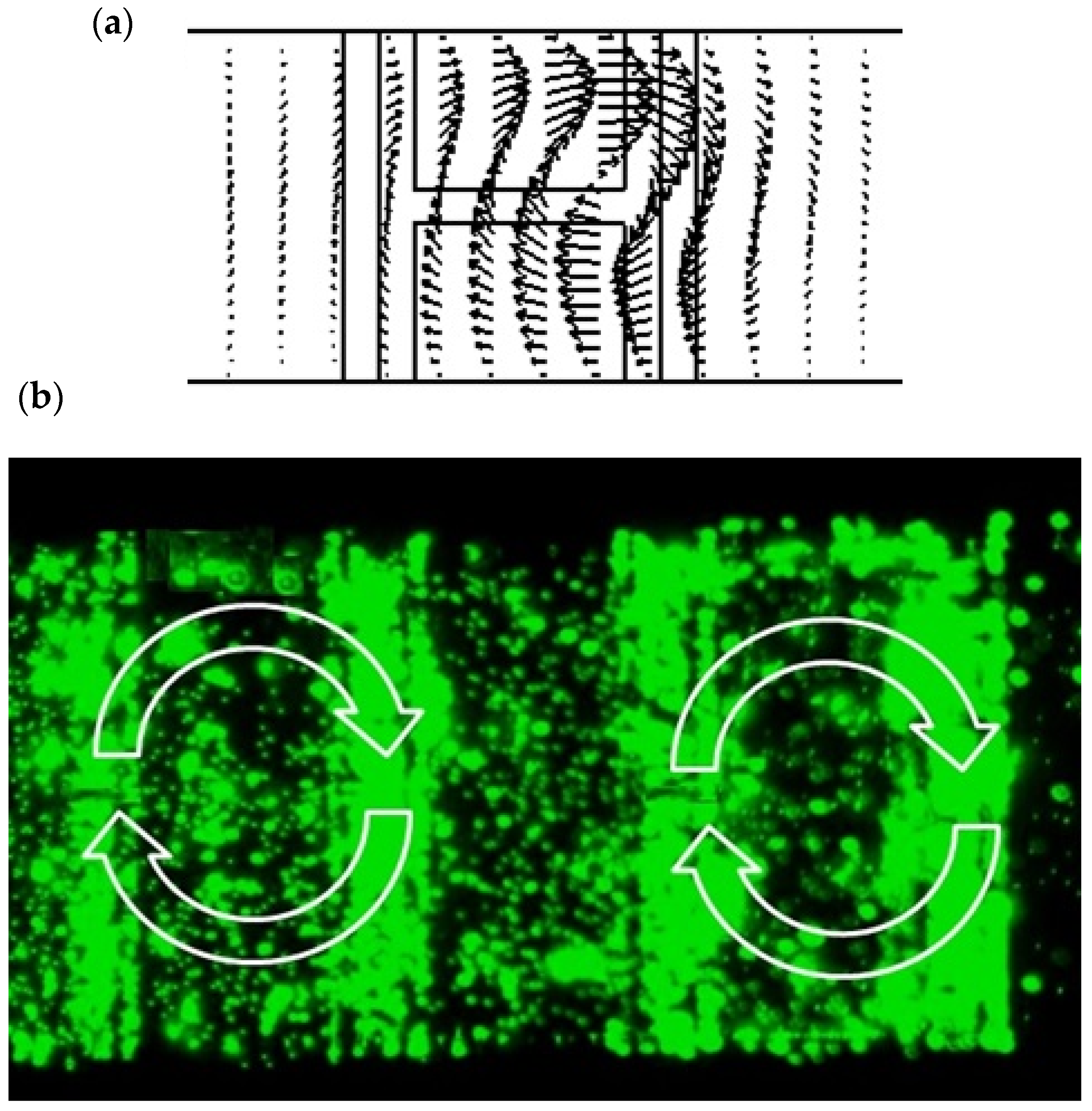 Biomimetics 10 00056 g013