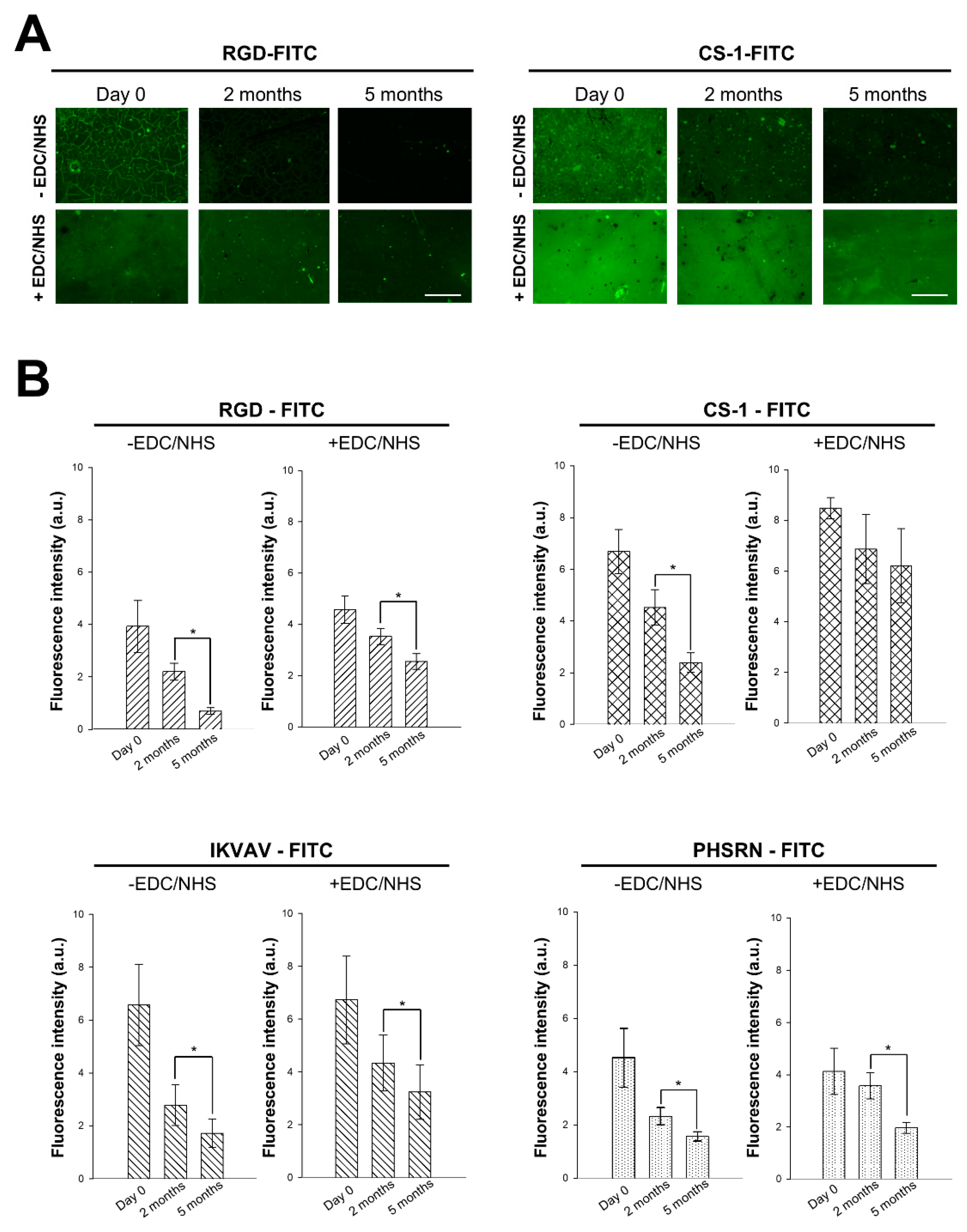 Biomimetics 10 00058 g001