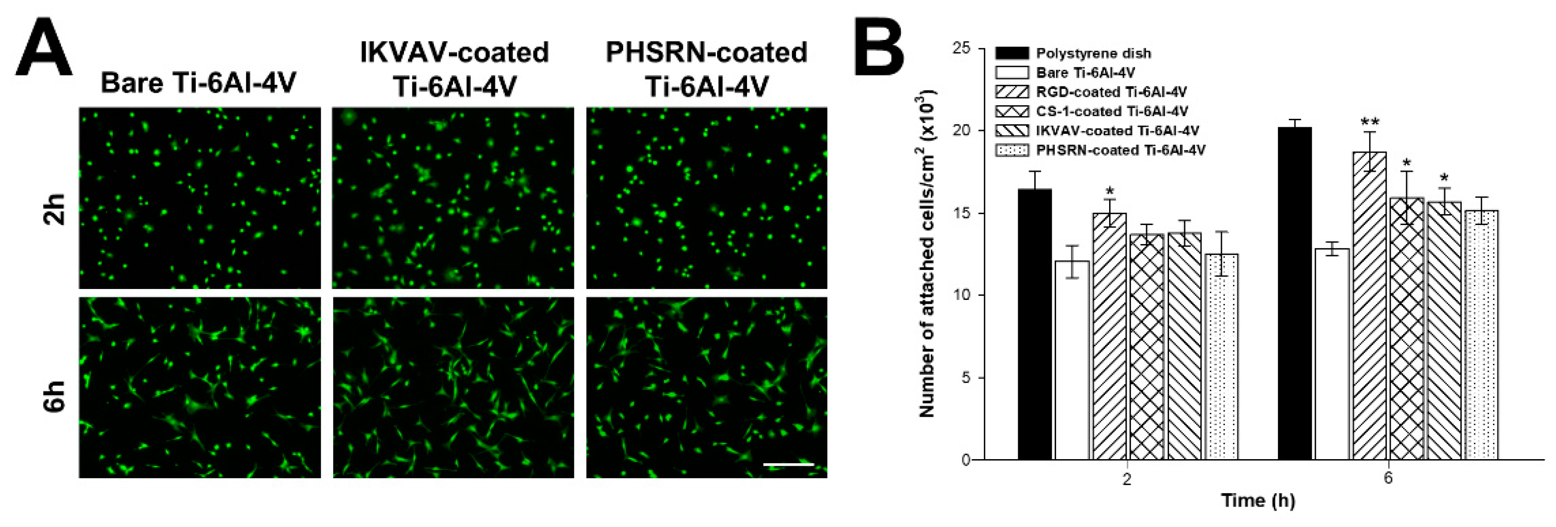 Biomimetics 10 00058 g002