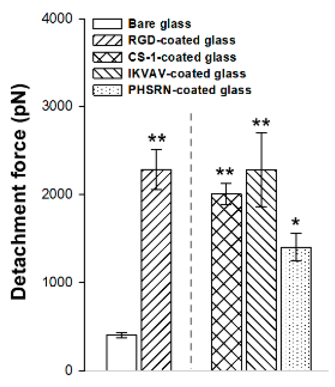 Biomimetics 10 00058 g003