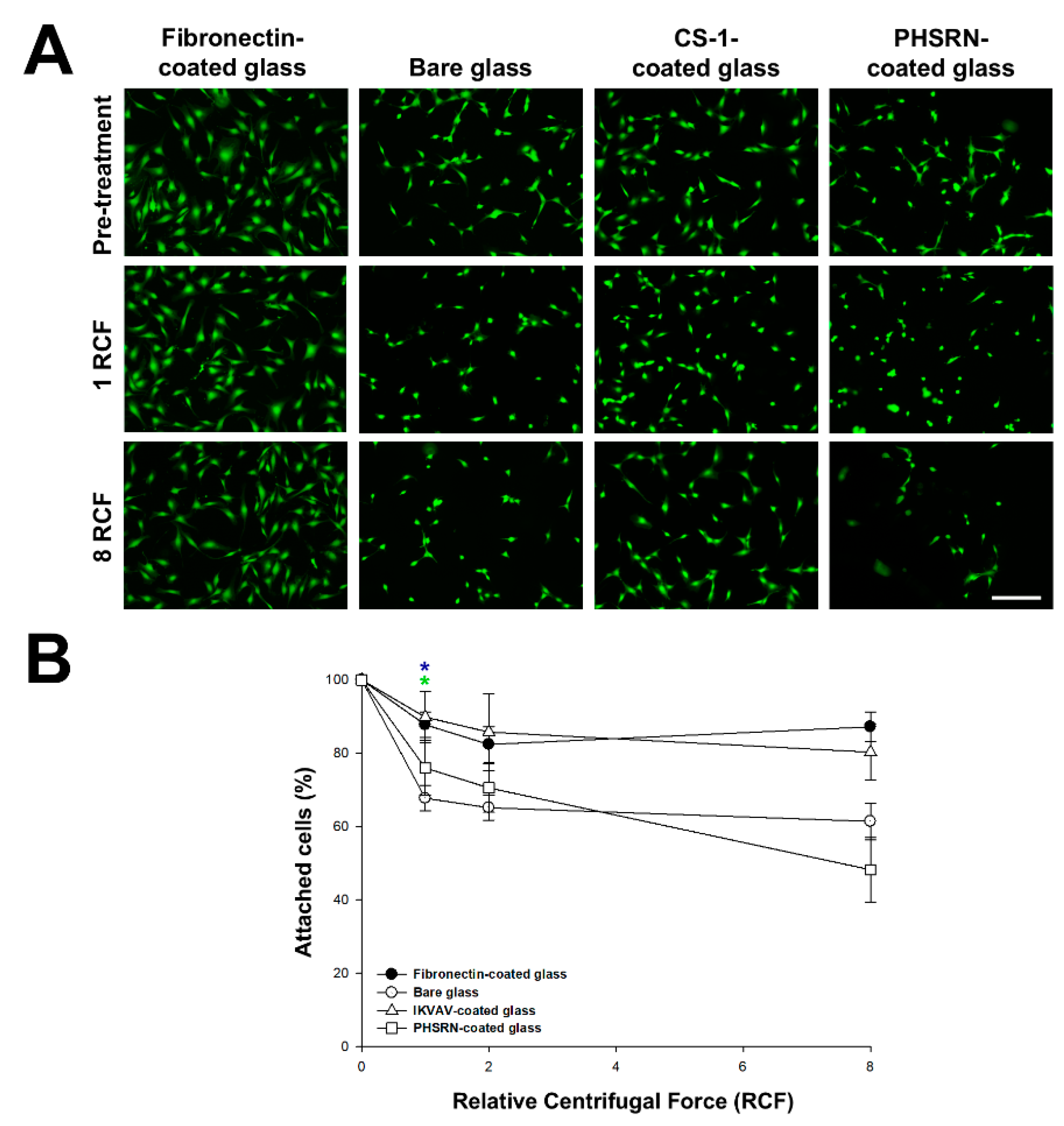 Biomimetics 10 00058 g004