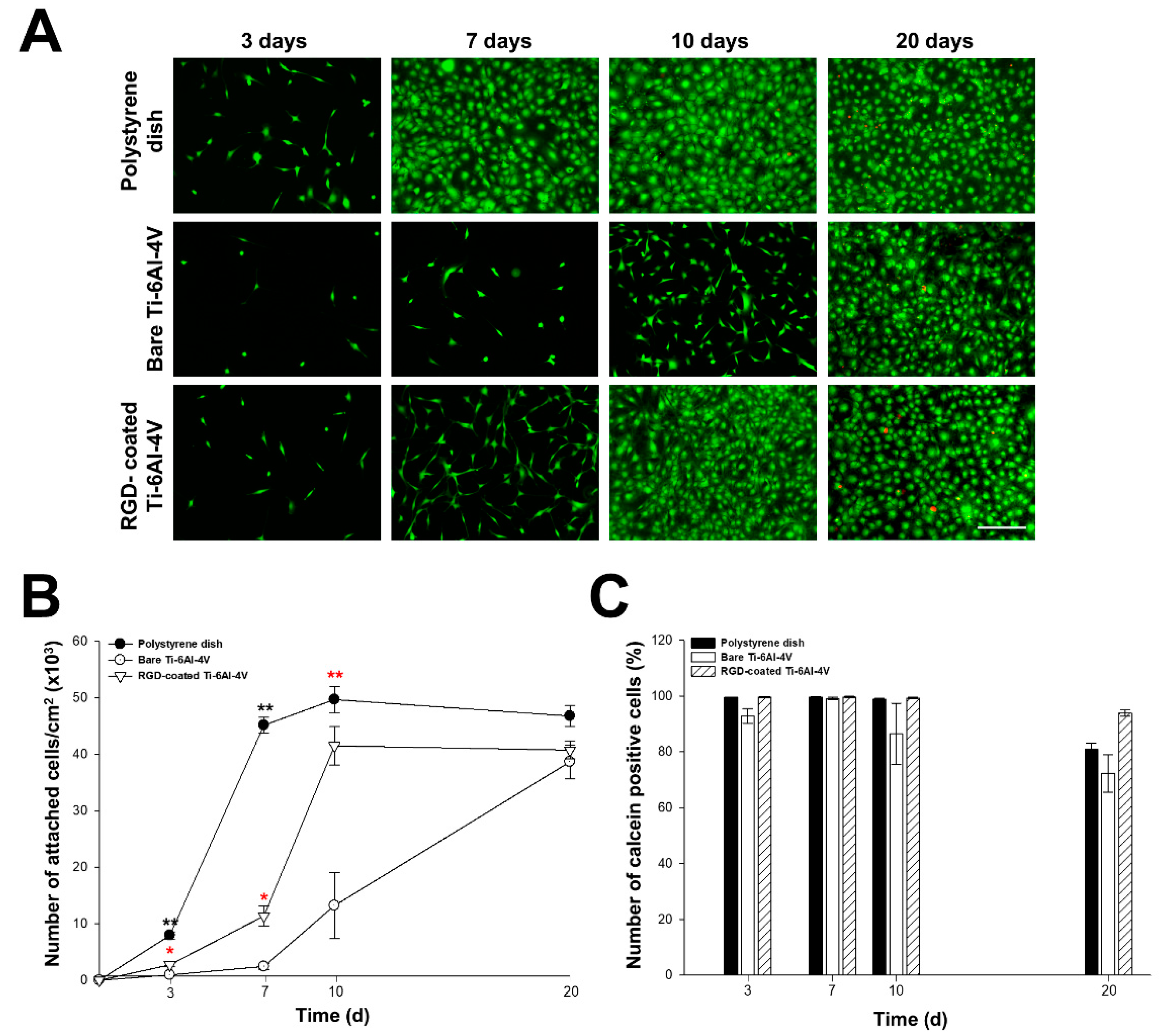 Biomimetics 10 00058 g005